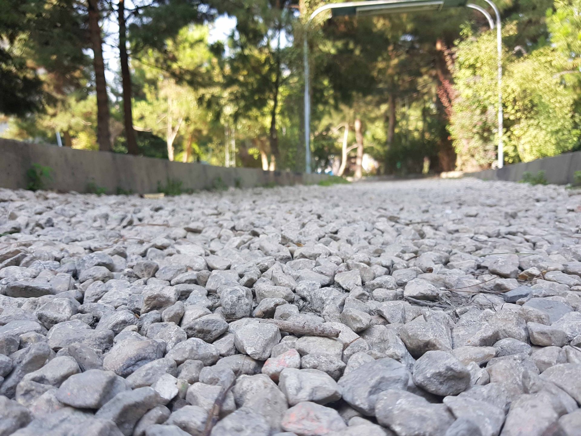 نمونه تصاویر گلکسی نوت 7