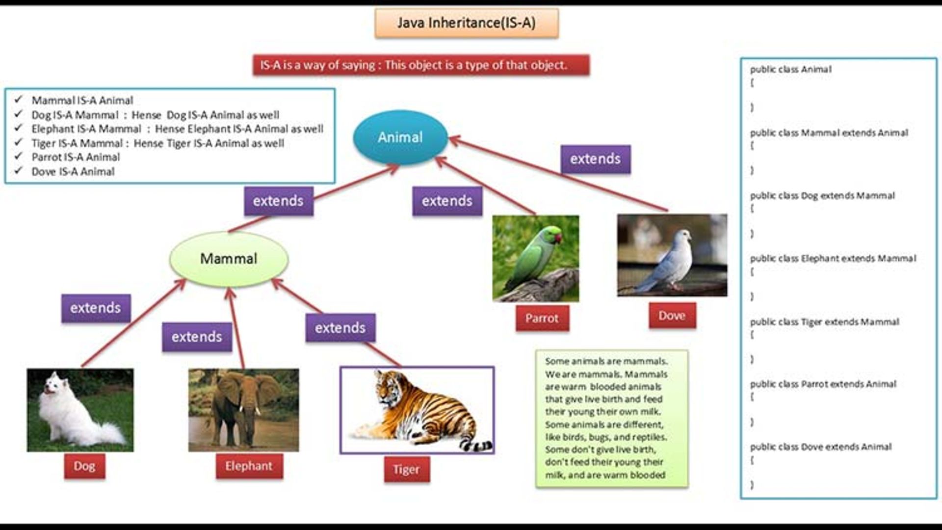 Inheritance:IS-A