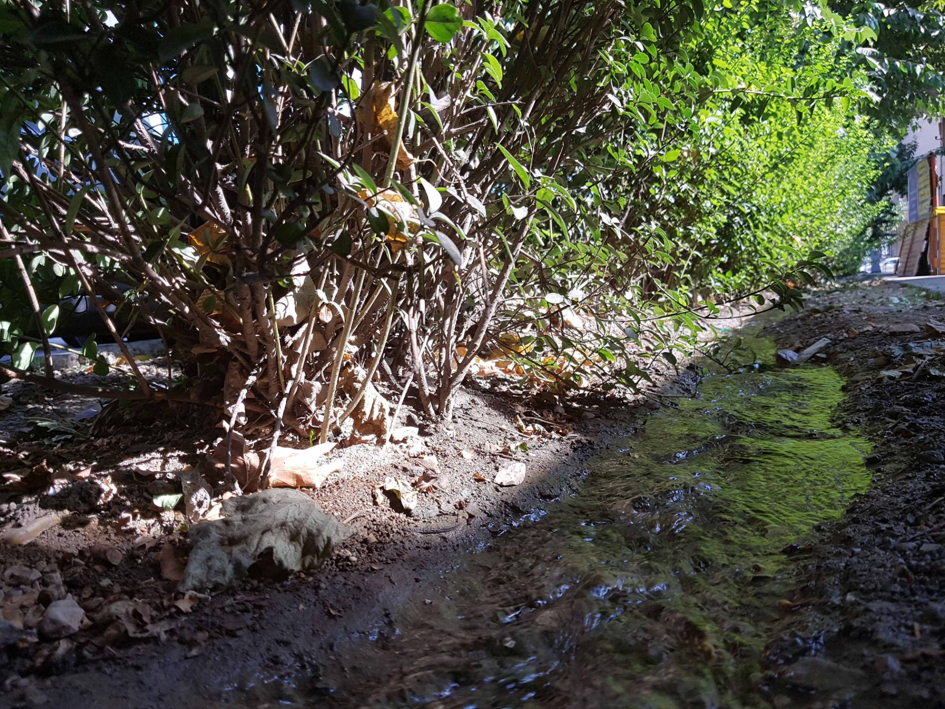 نمونه تصاویر گلکسی نوت 7