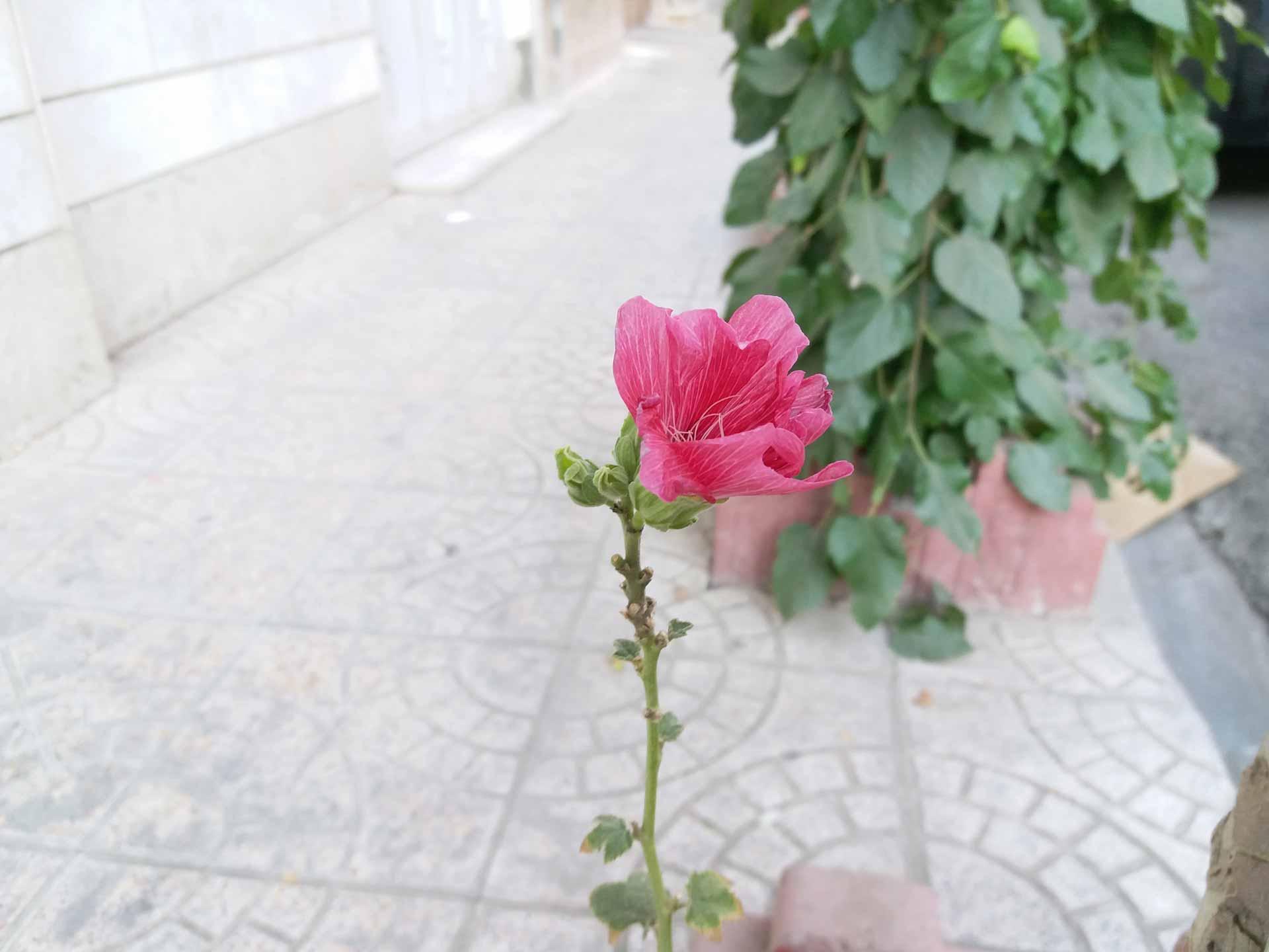 نمونه تصاویر گلکسی سی 5