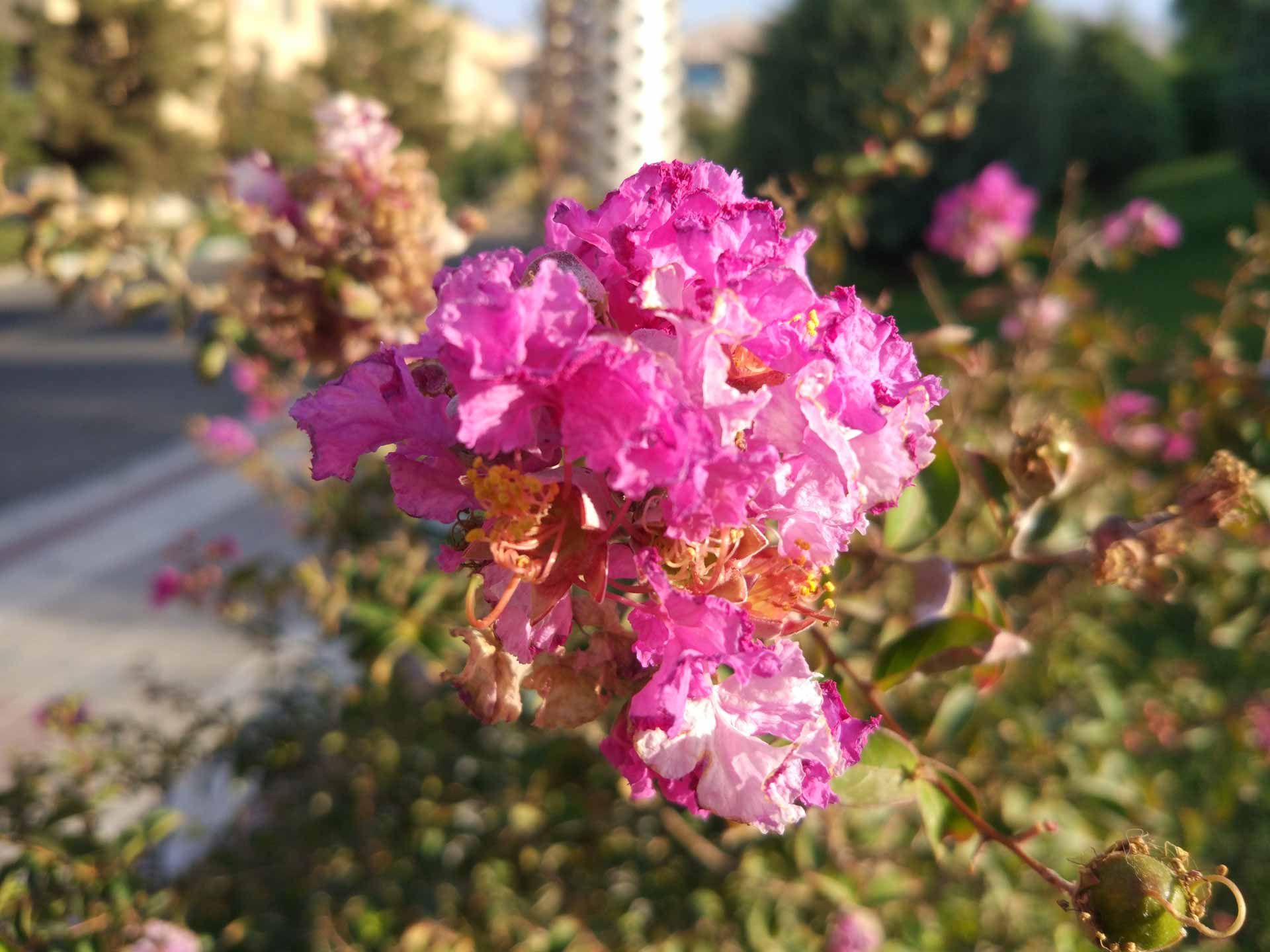 گالری تصاویر دوربین می 5