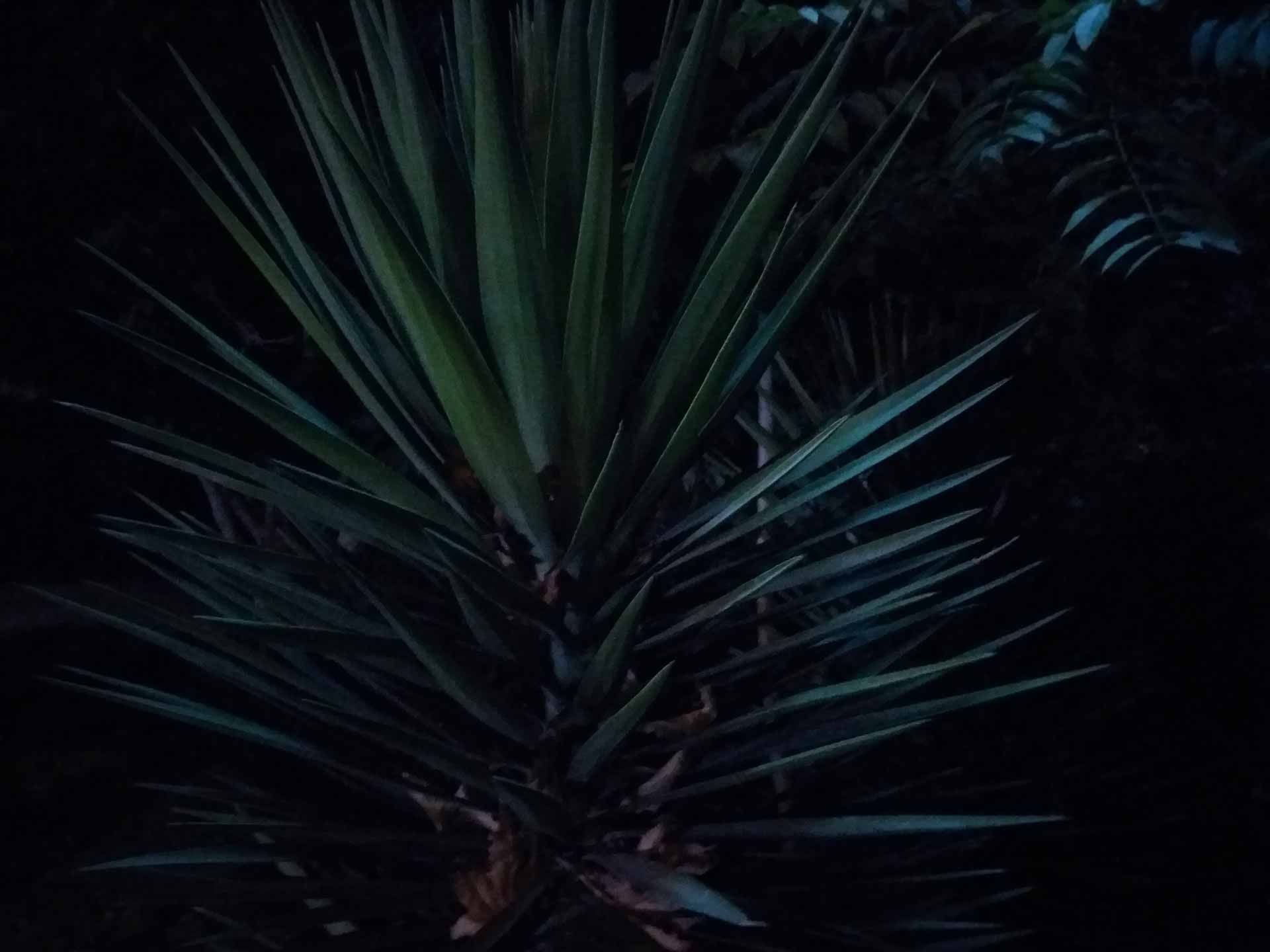 نمونه تصاویر گلکسی سی 5