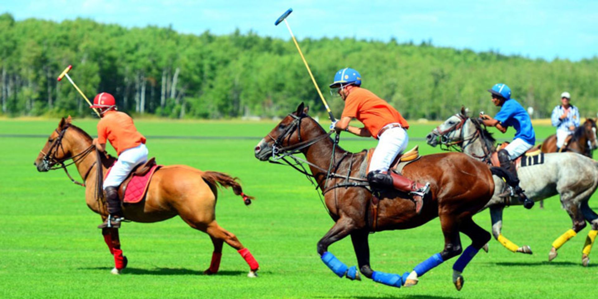 ثروتمند - استیون سایبولد - زومیت