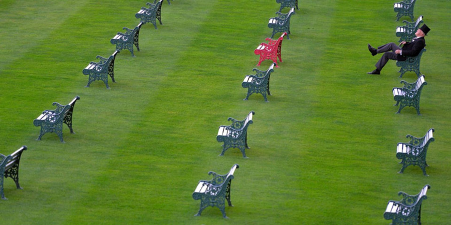 ثروتمند - استیون سایبولد - زومیت