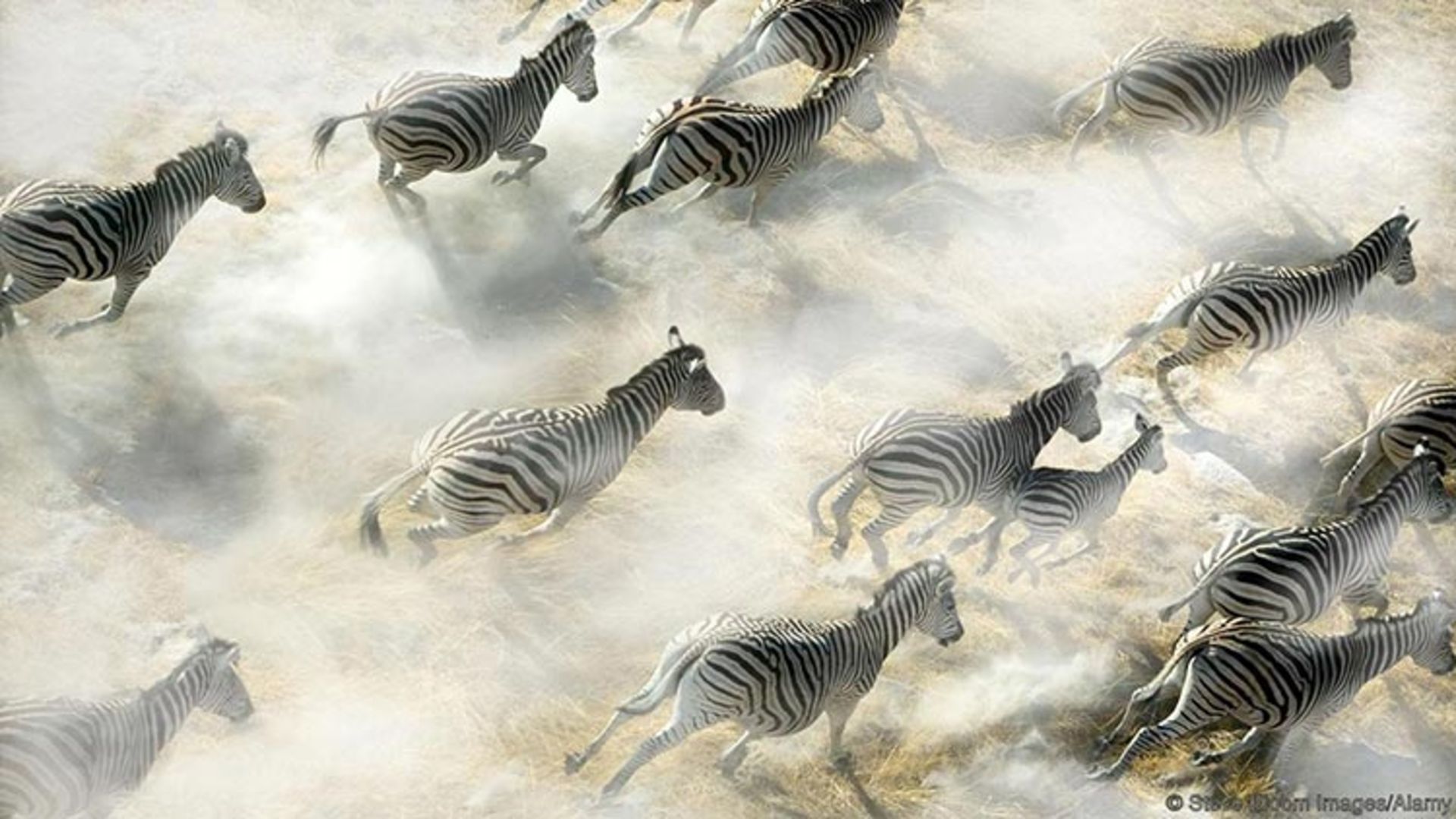 زیبایی طبیعت