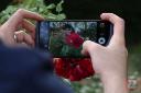 LG V20 / ال جی وی 20