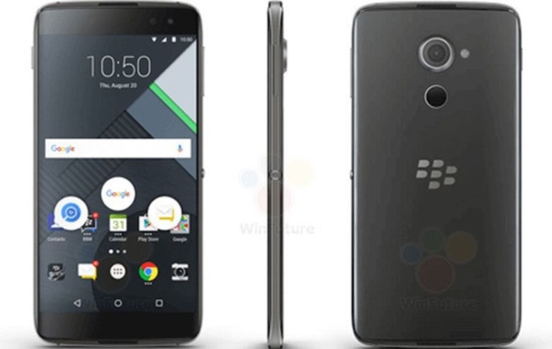 blackberry argon