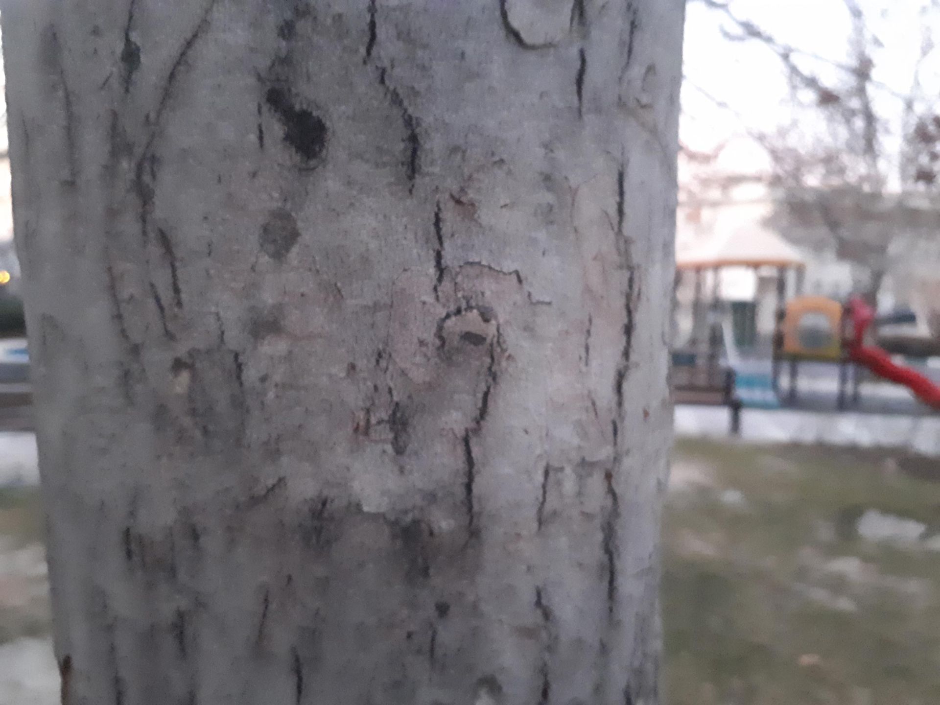 نمونه تصاویر گلکسی ای 5 نسخه 2017