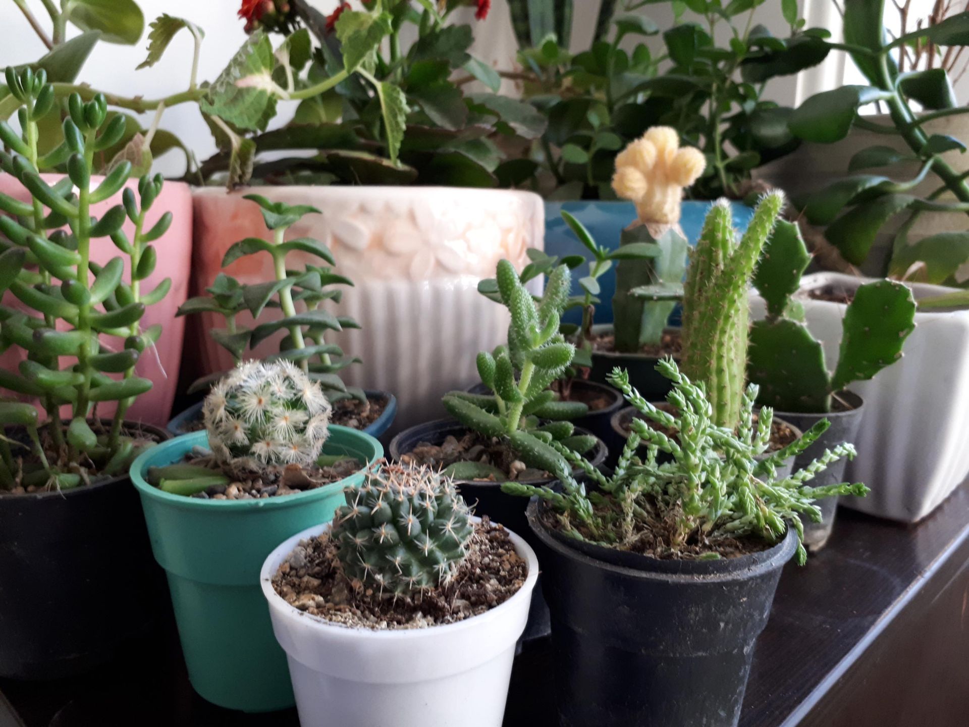 نمونه تصاویر گلکسی ای 5 نسخه 2017