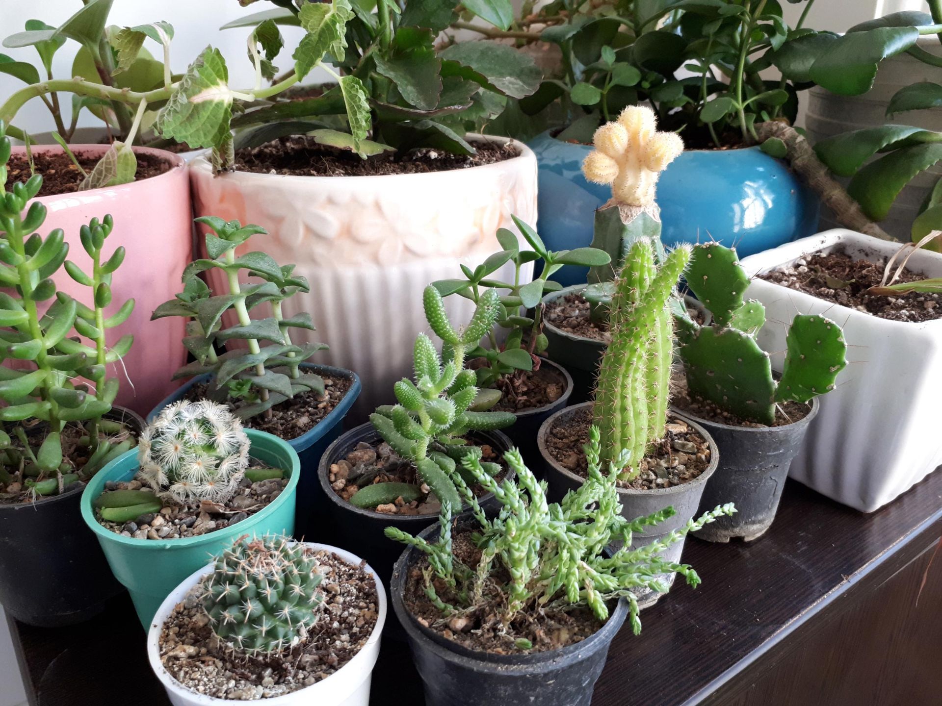 نمونه تصاویر گلکسی ای 5 نسخه 2017