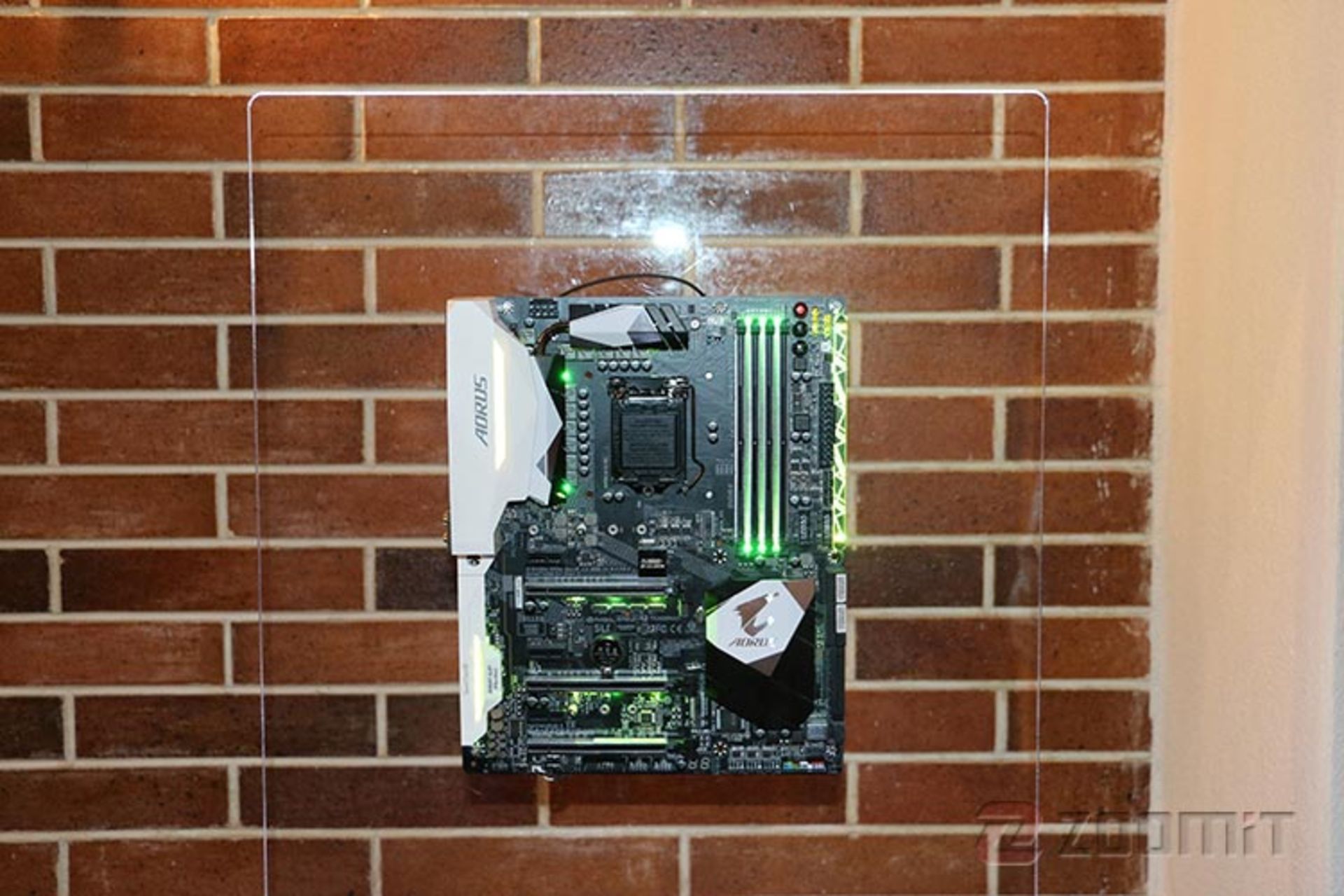 aorus