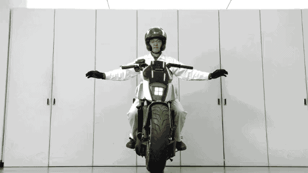 riding assistant
