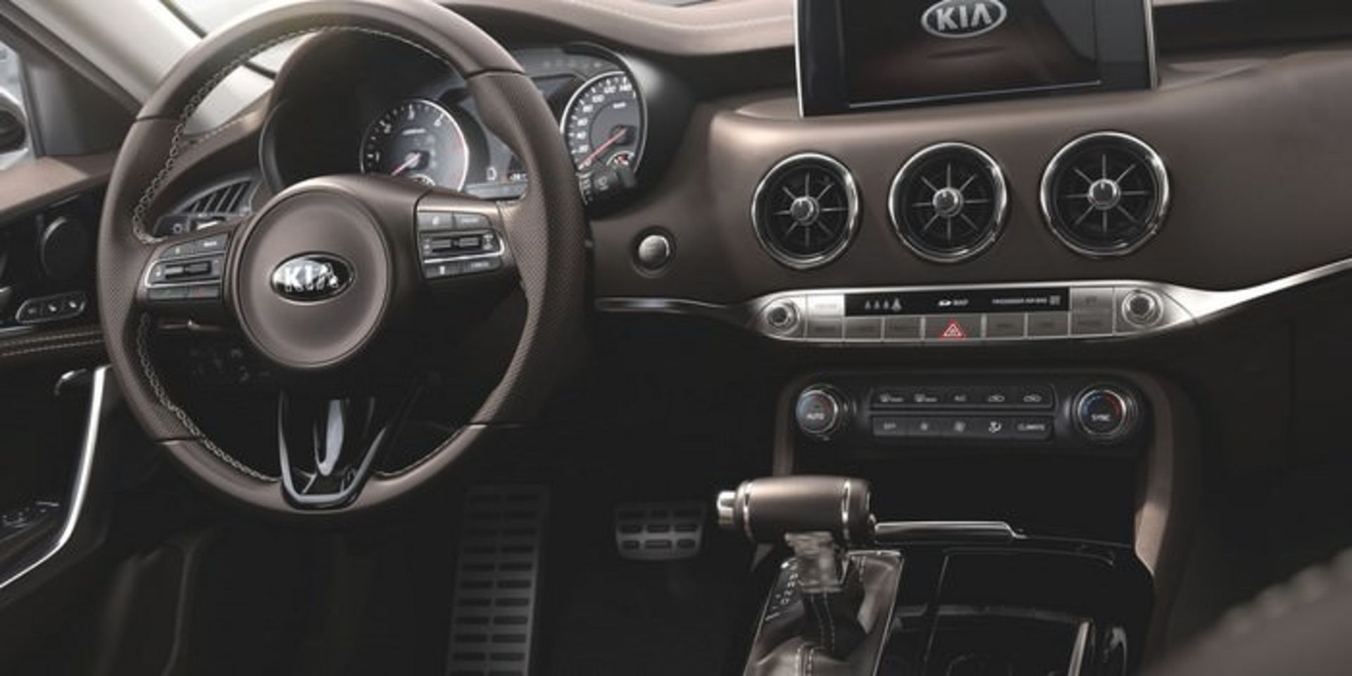 کیا استینگر