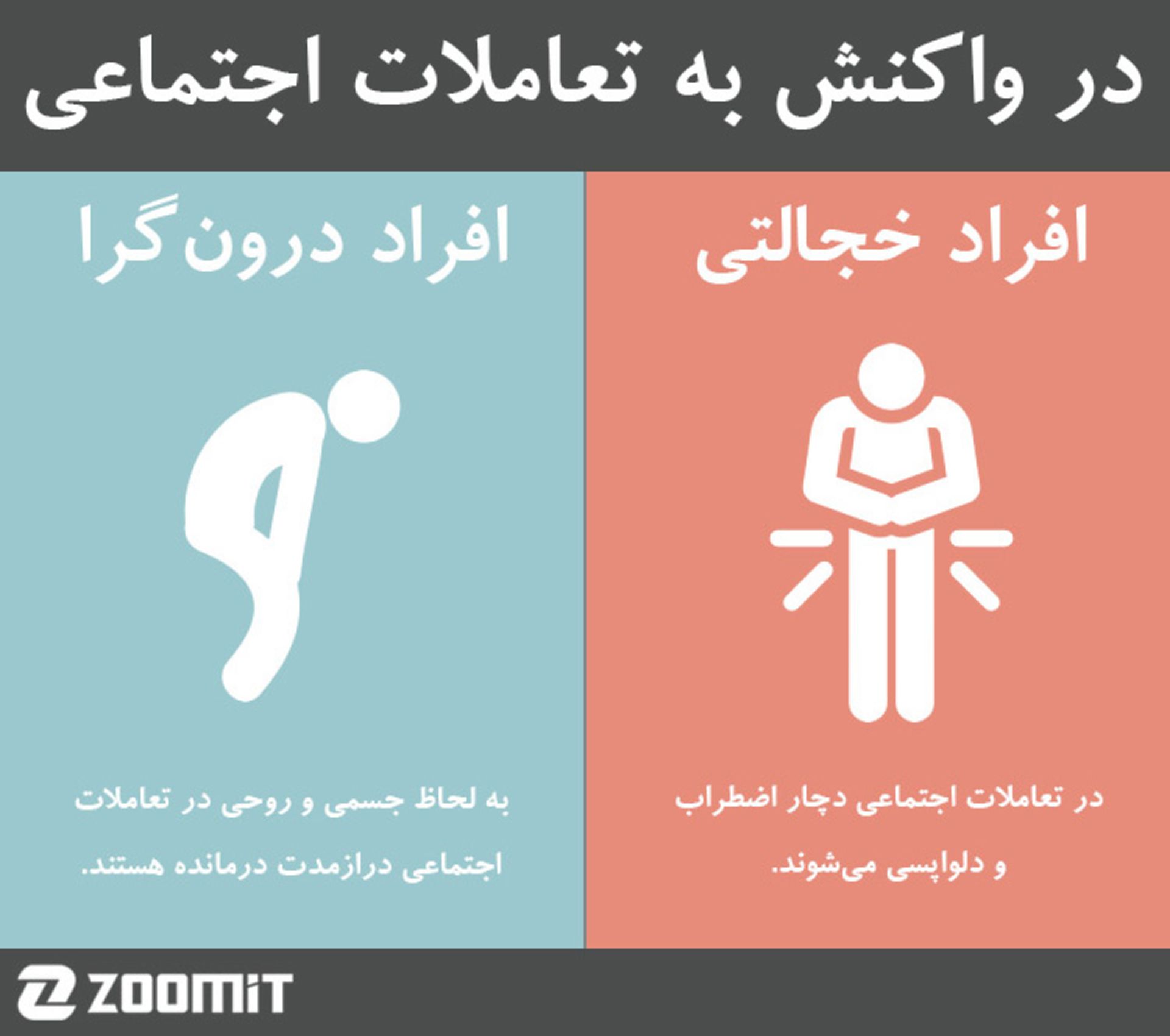 shy vs introvert
