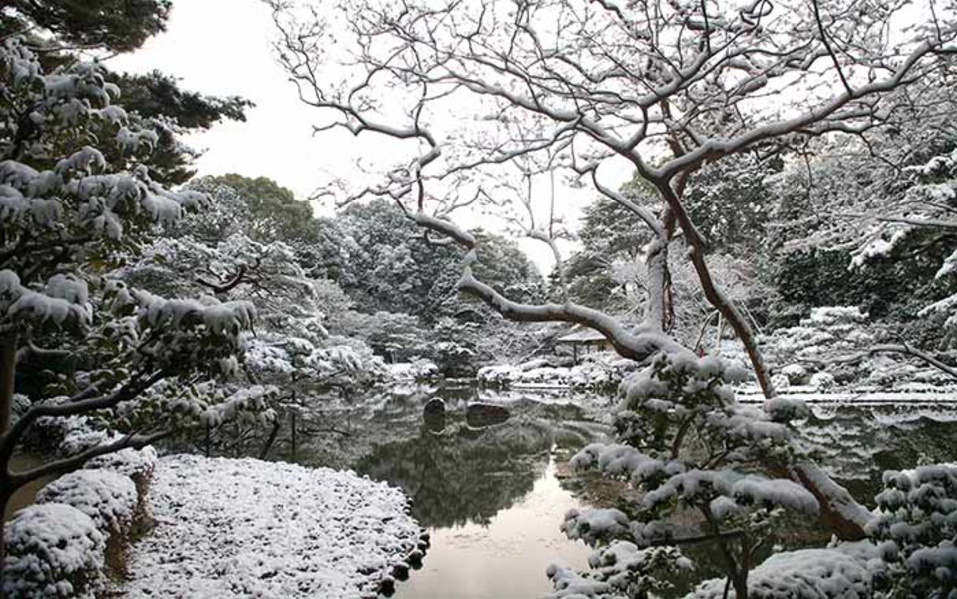 بارش برف در ژاپن