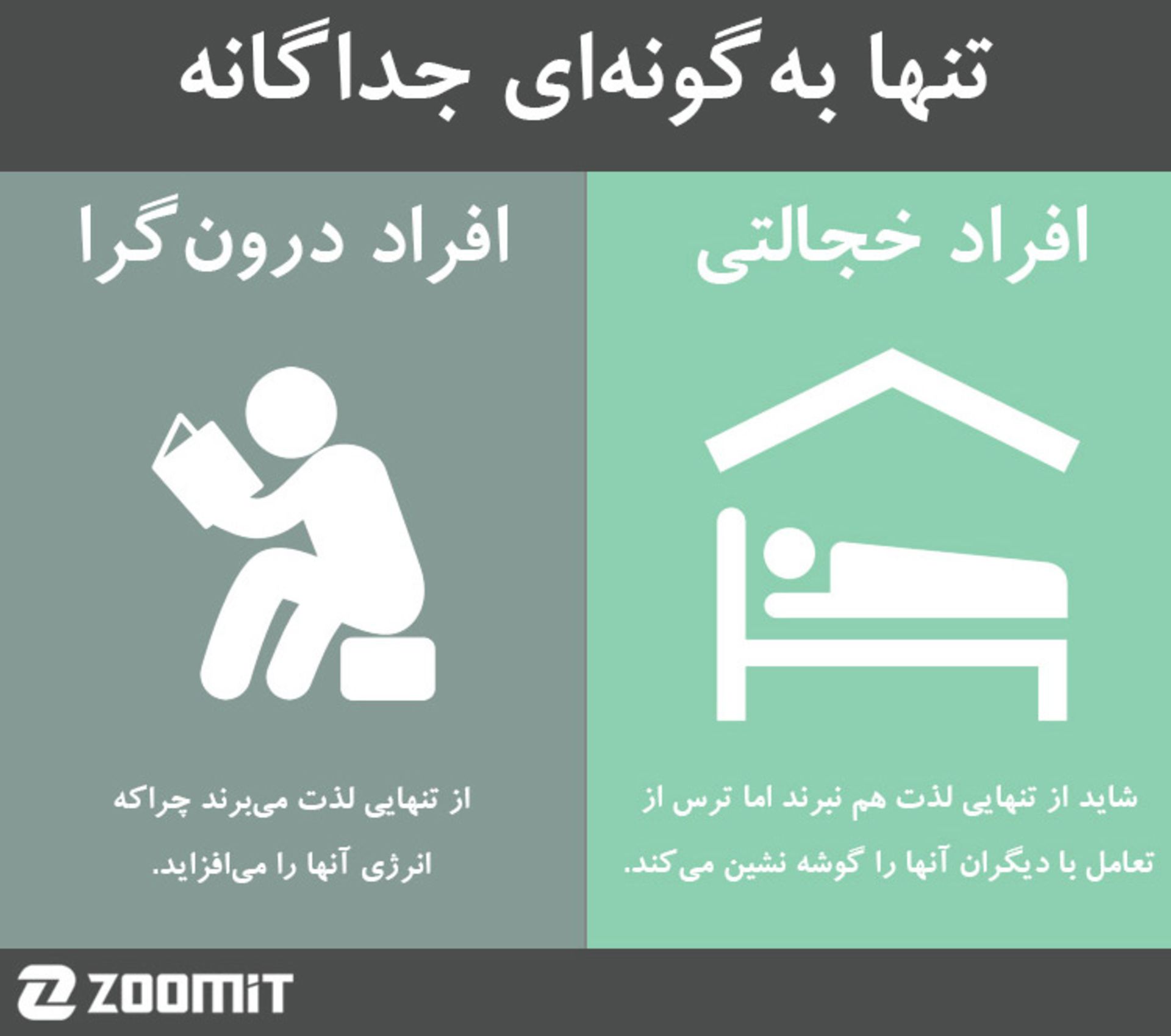 shy vs introvert