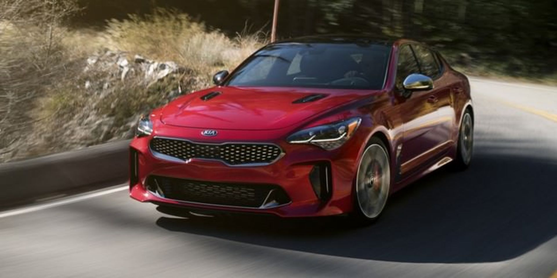 کیا استینگر