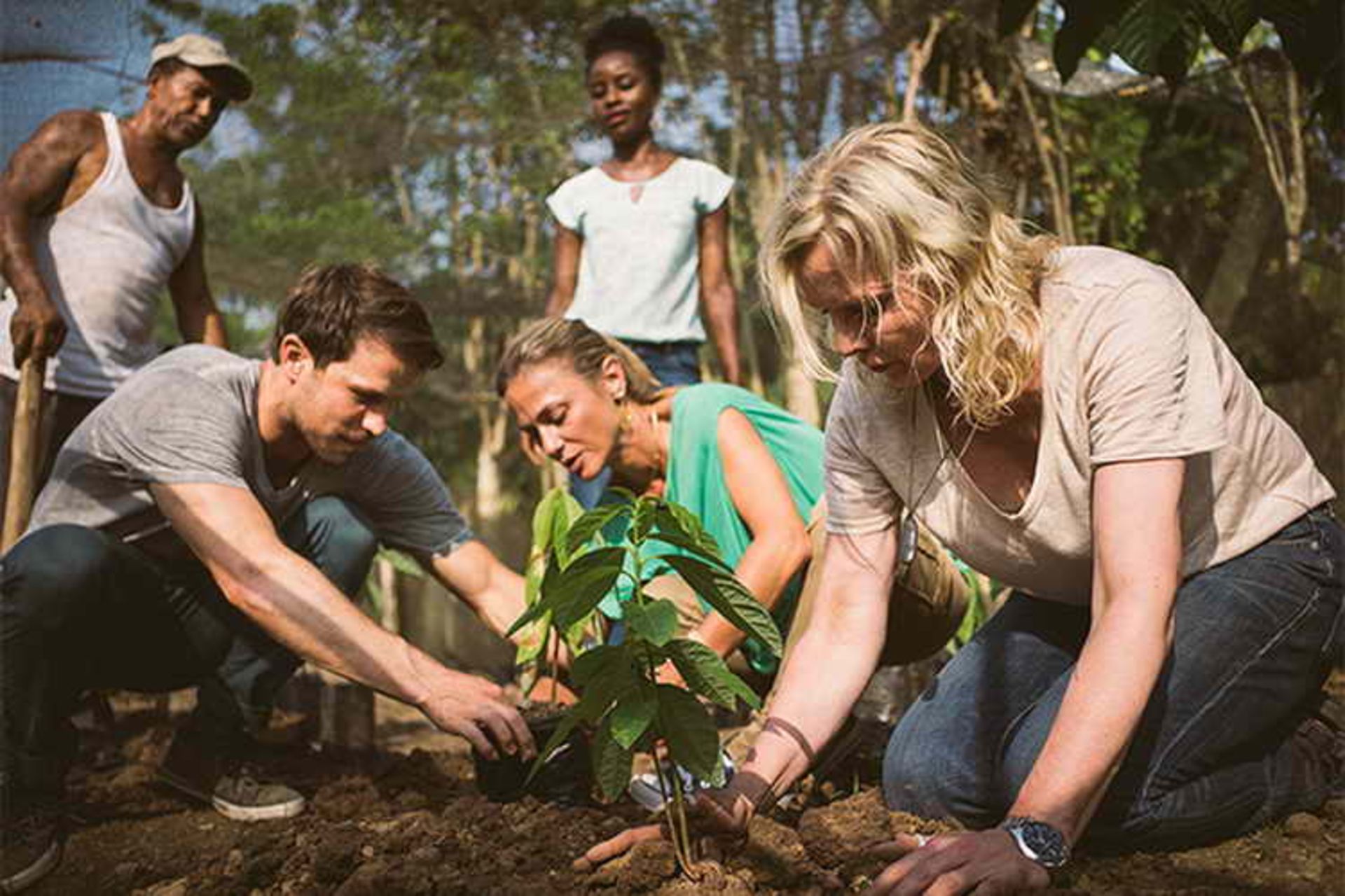 voluntourism industry