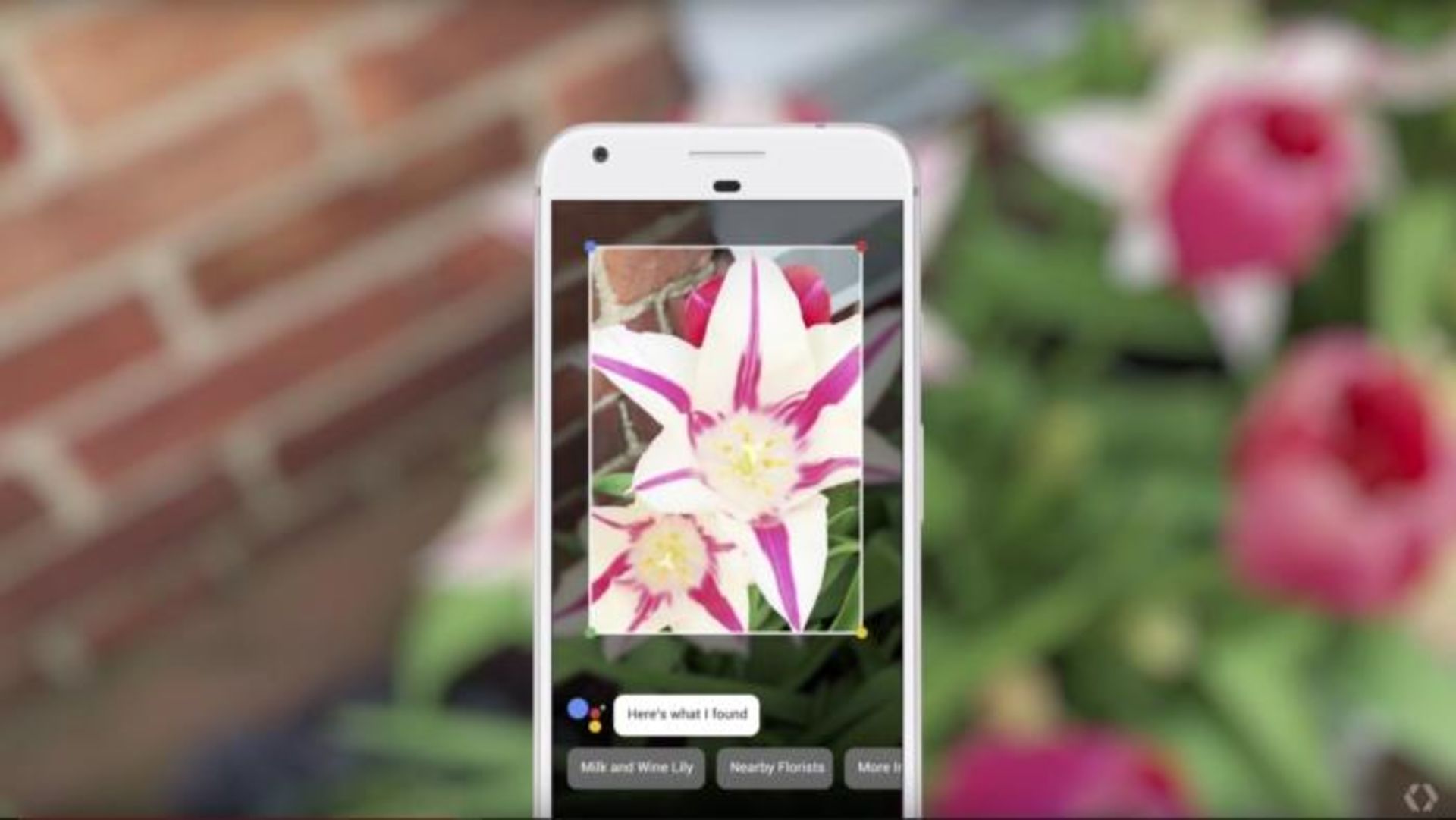 Google Lens