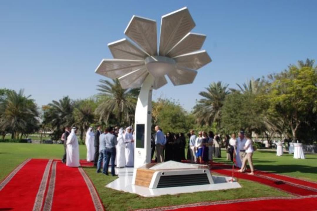 نخل