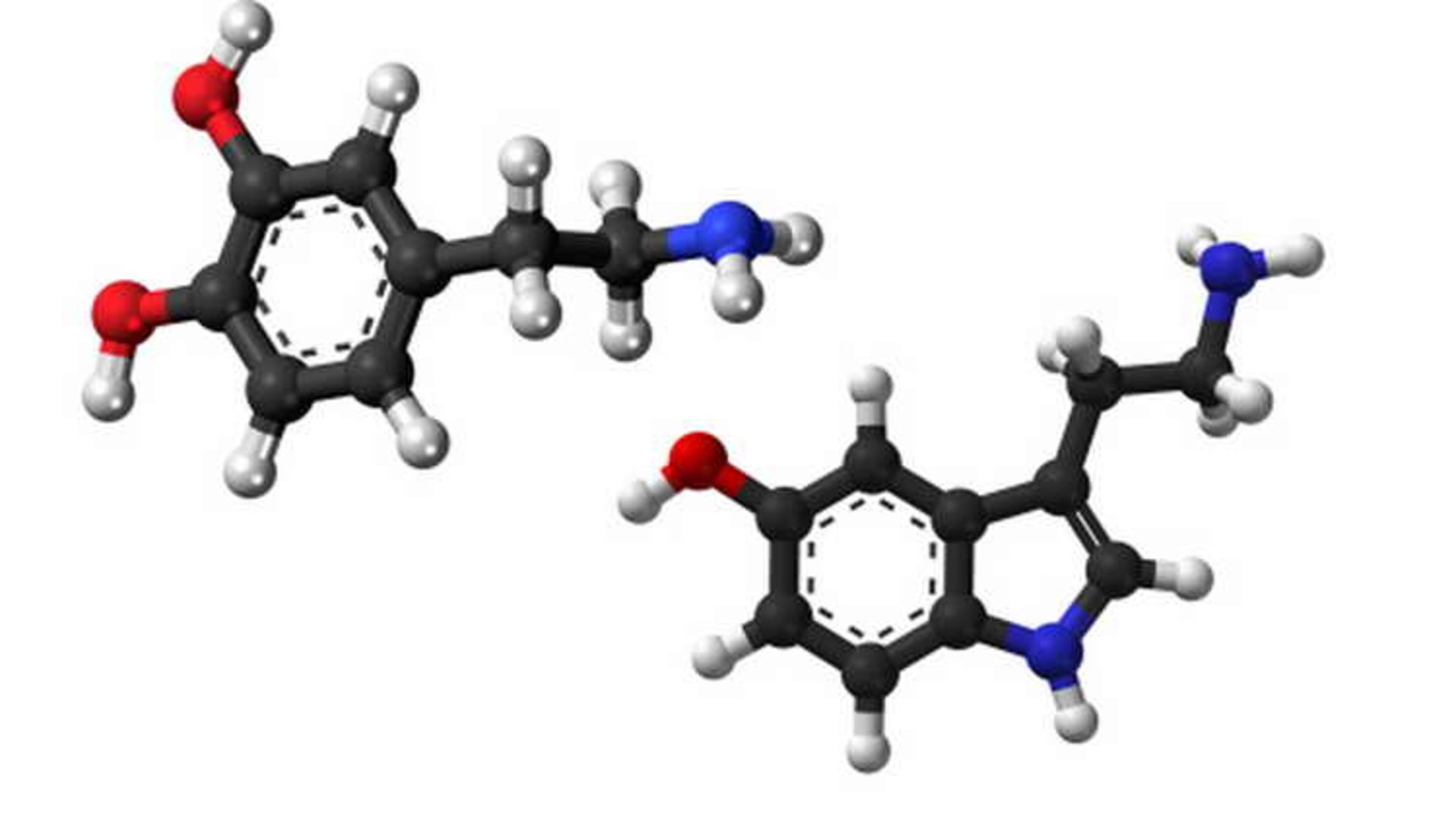 The pleasure/happiness gap