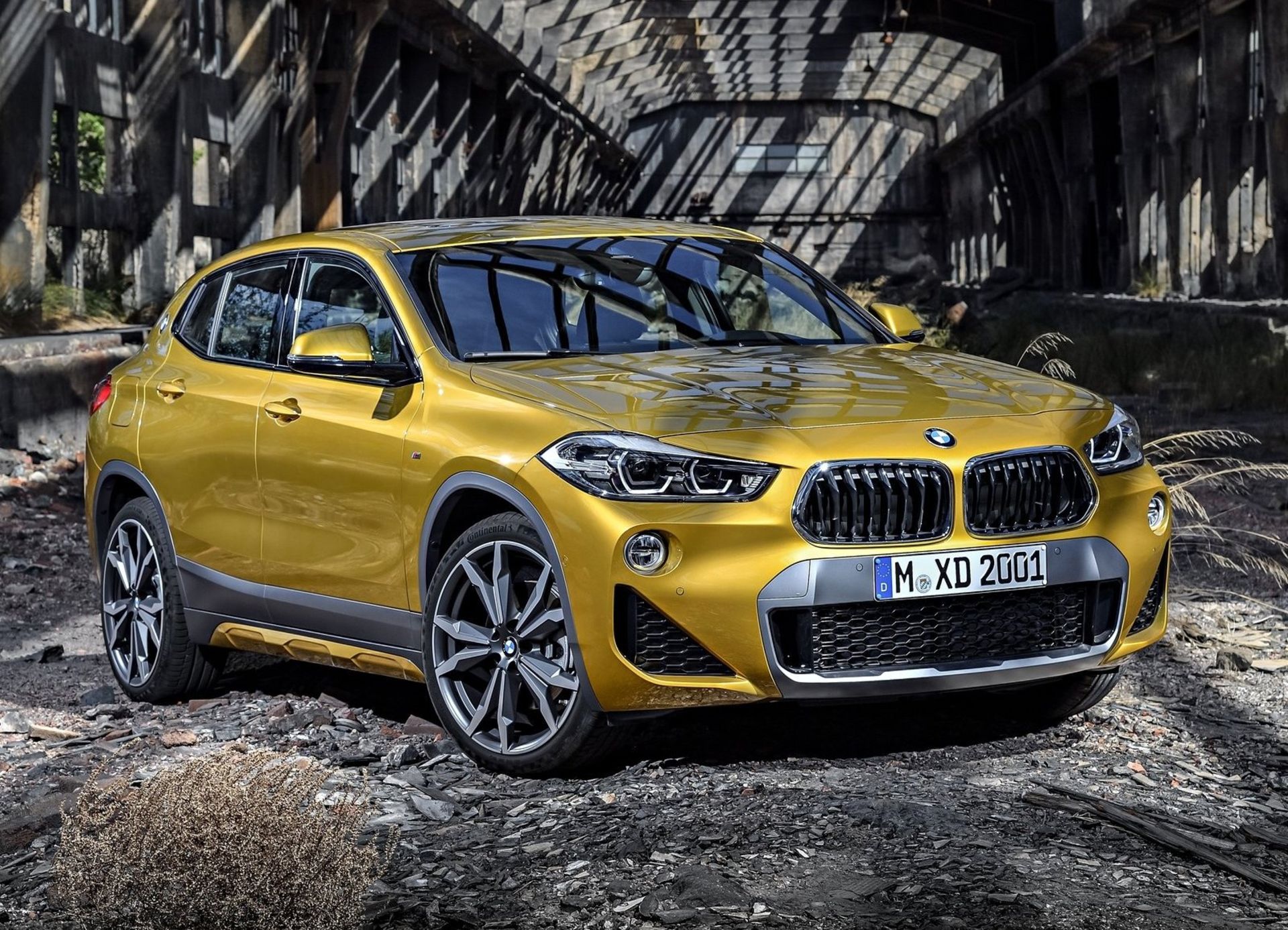 BMW X2