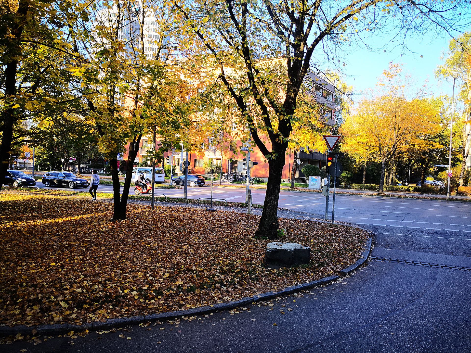 نمونه تصاویر دوربین هواوی میت 10