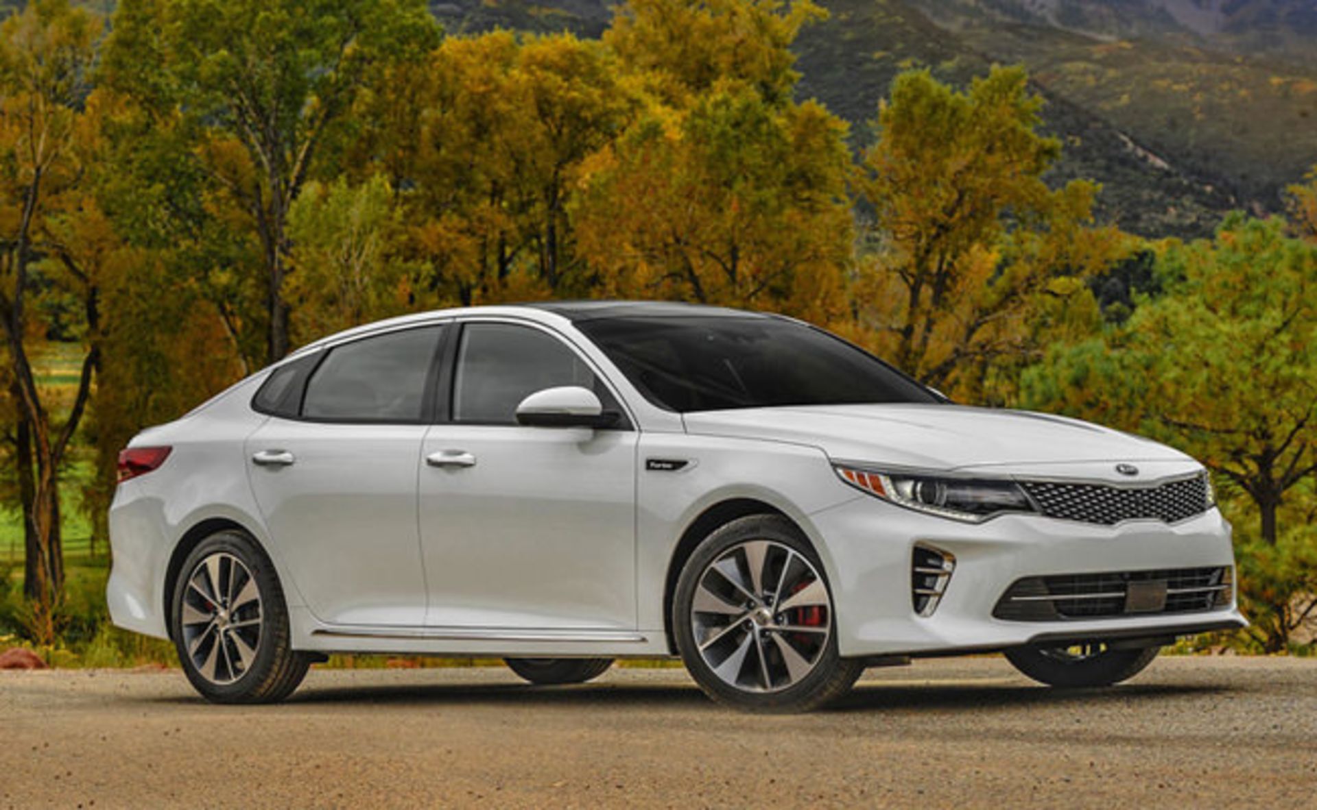 کیا اوپتیما