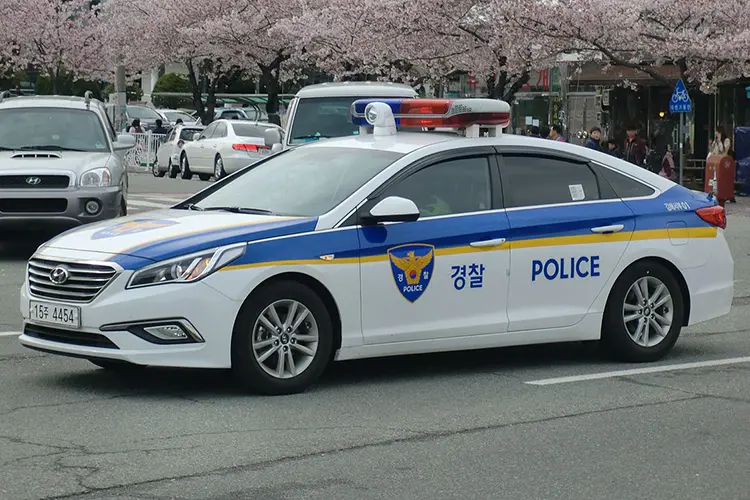 sonata   police