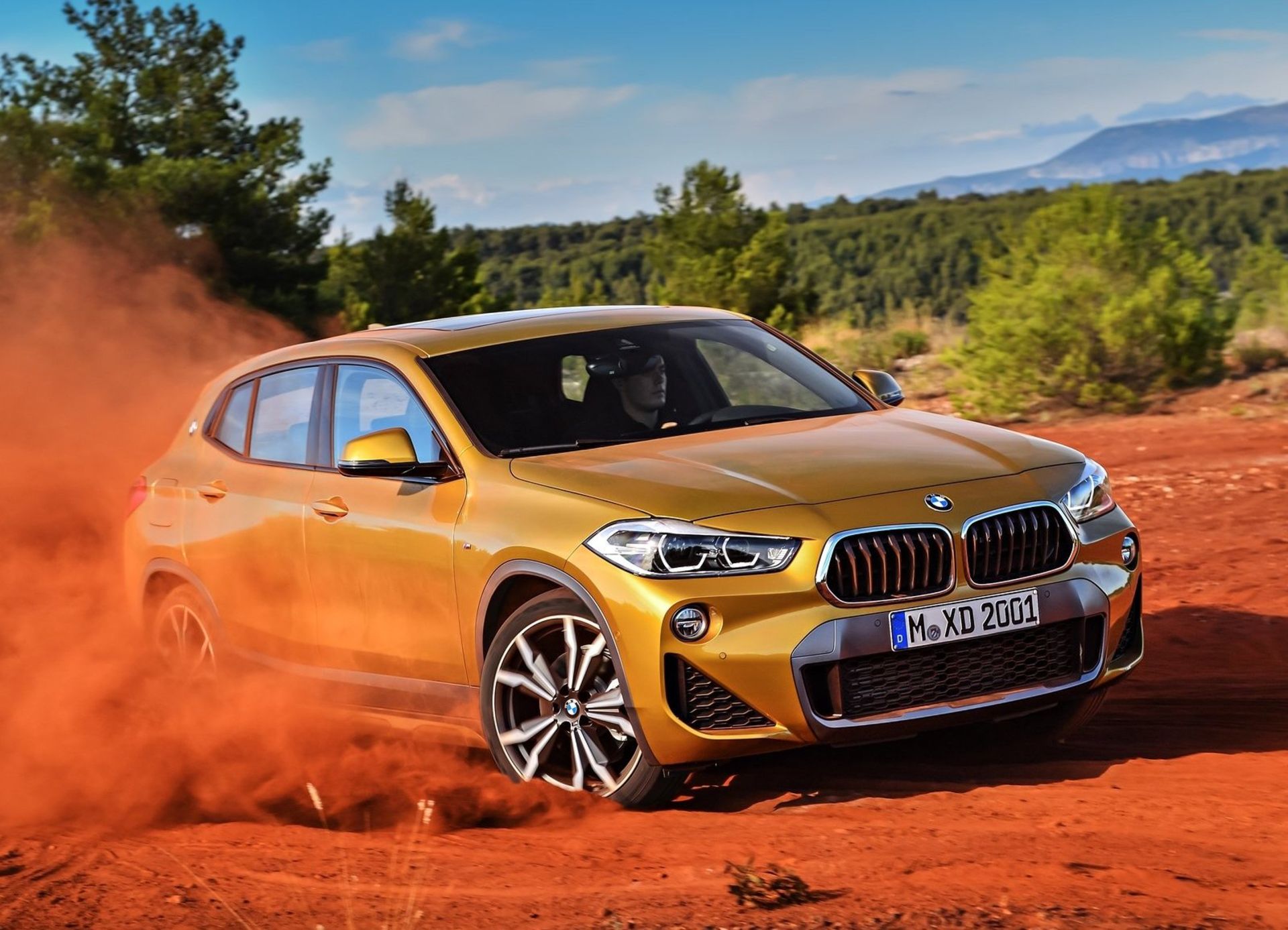 BMW X2