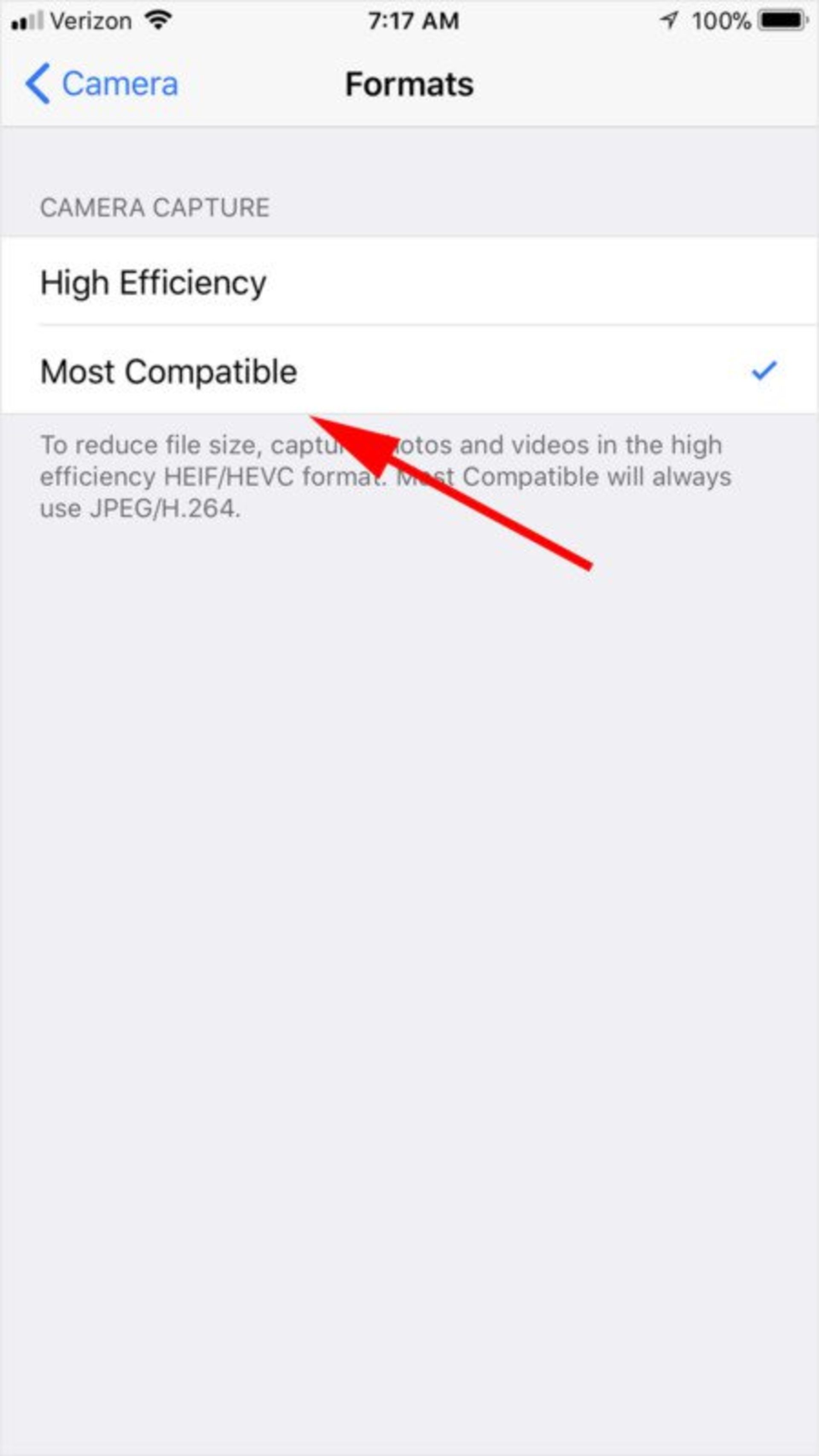 Camera setting