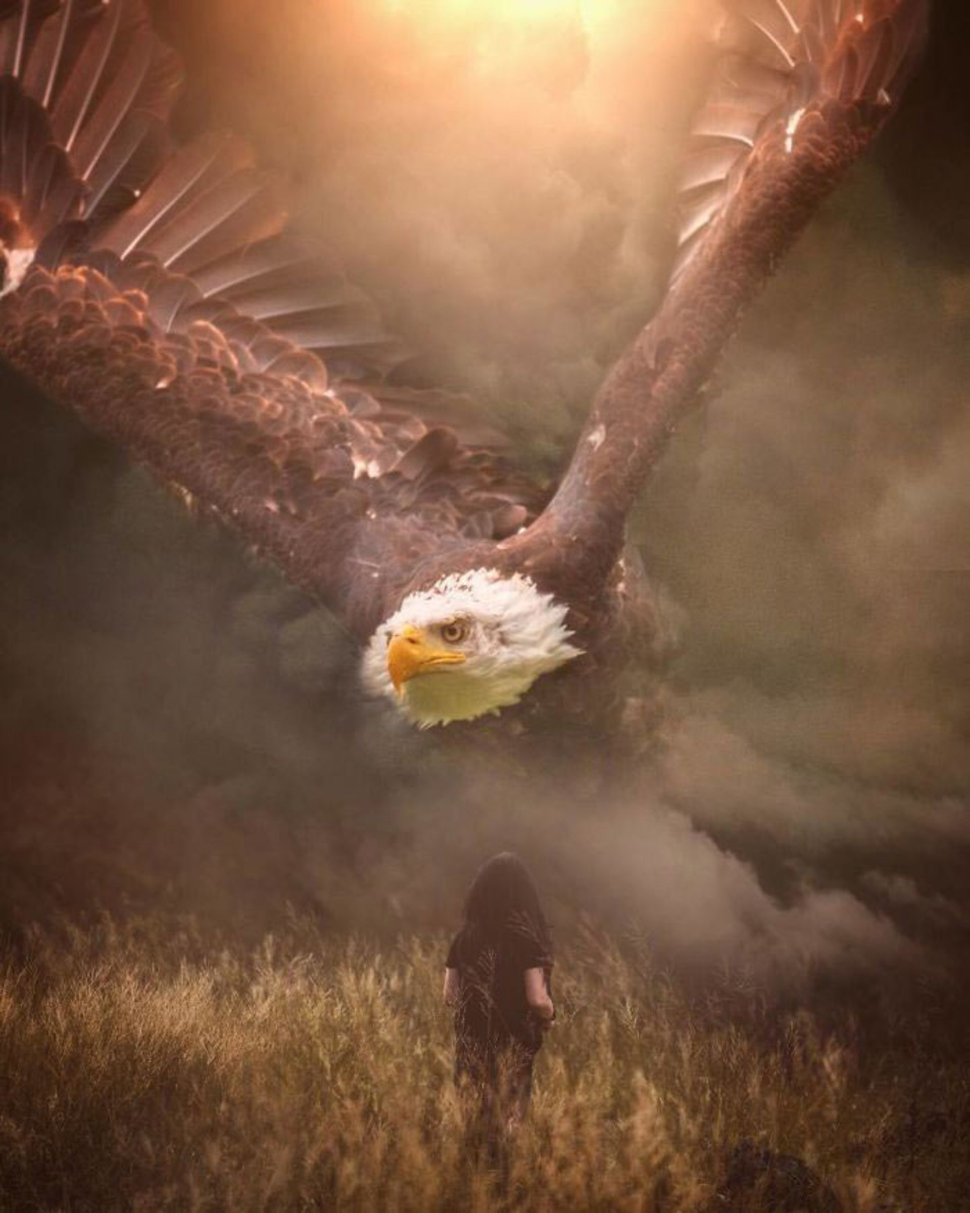 تلفیق عکاسی و هنر دیجیتال در خلق تصاویر دیدنی از حیوانات غول پیکر