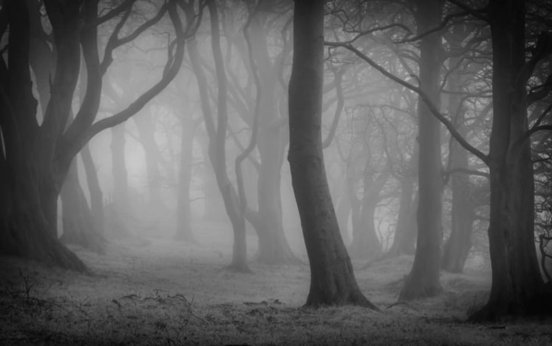 تصاویر زیبای سیاه و سفید