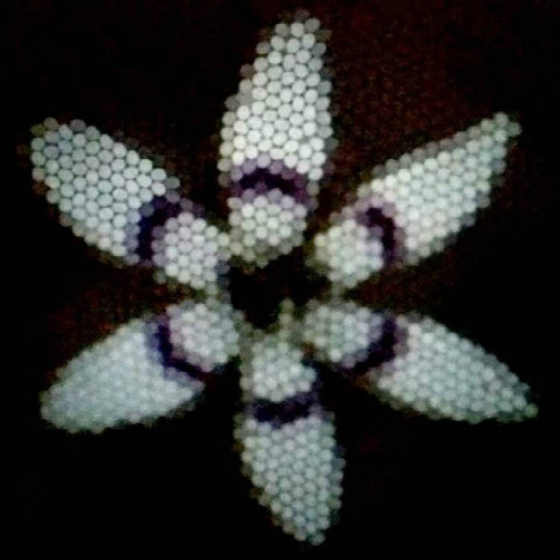 گل