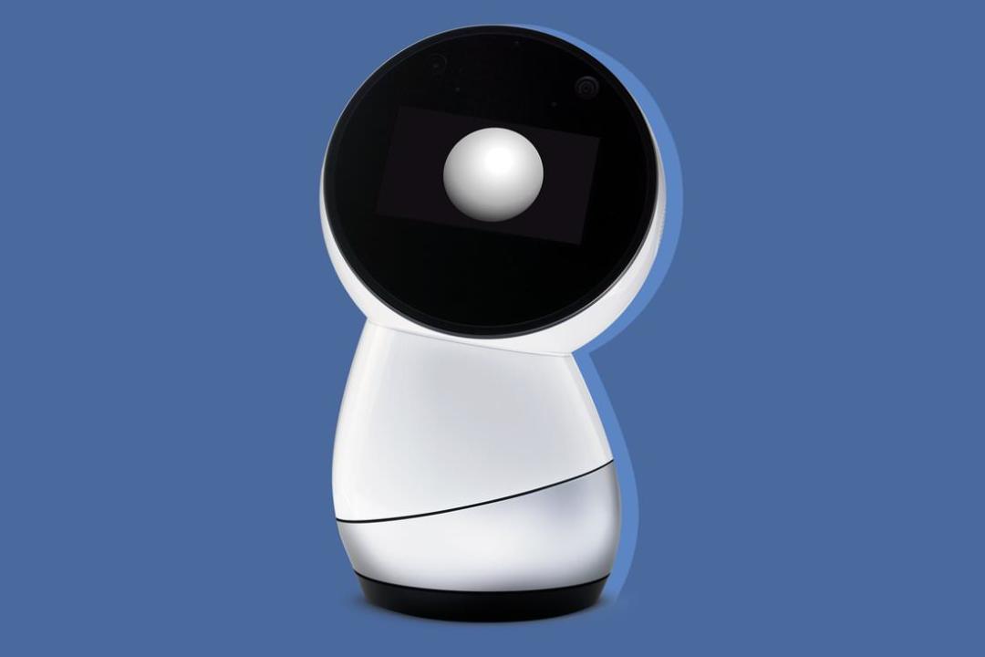 Jibo