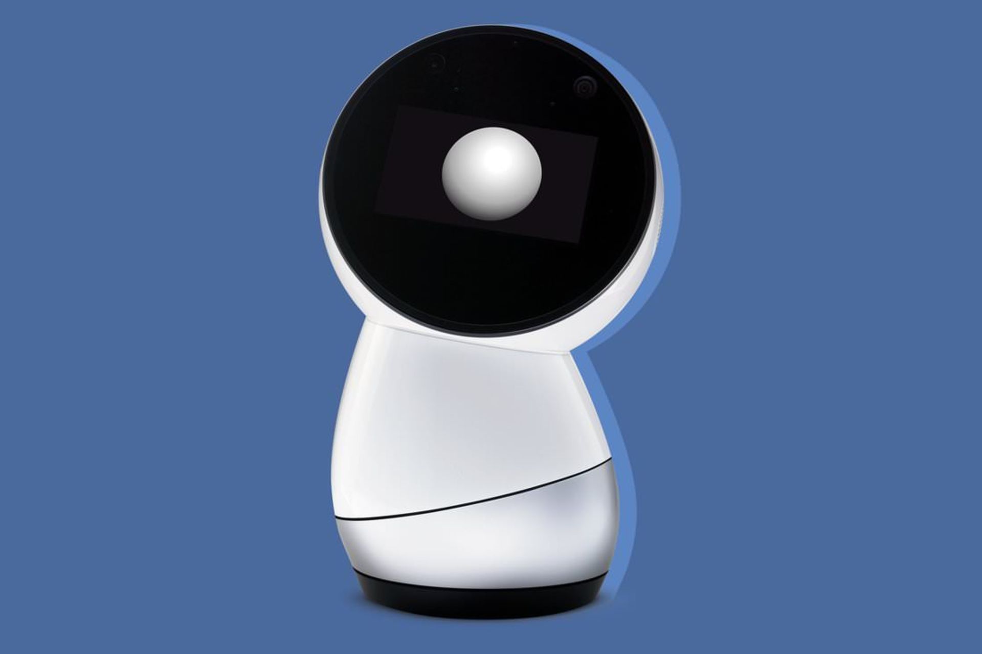 Jibo