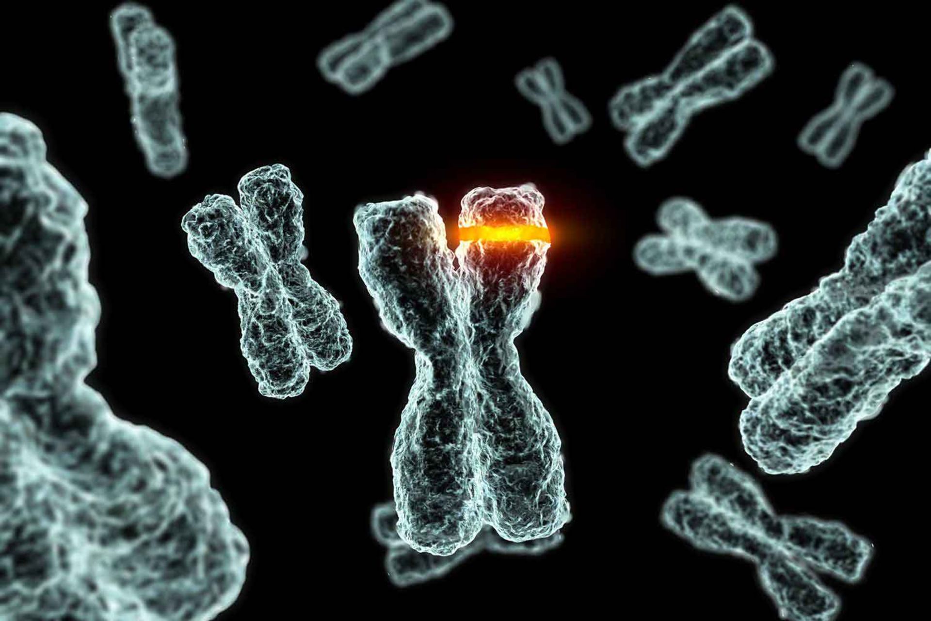 مرجع متخصصين ايران كروموزم / Chromosome