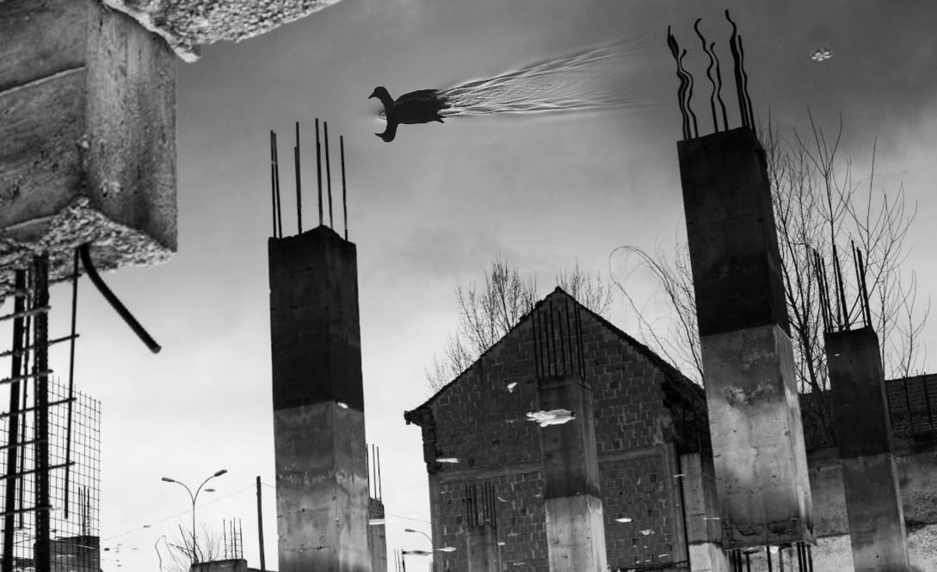 تصاویر زیبای سیاه و سفید