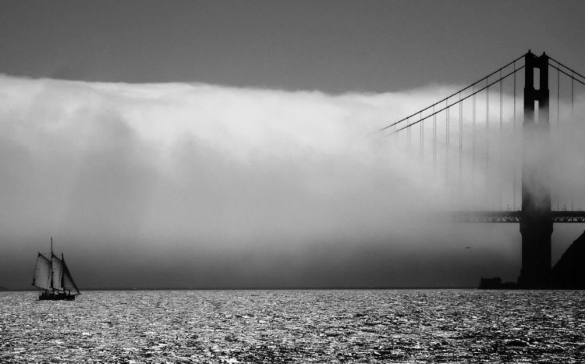 تصاویر زیبای سیاه و سفید