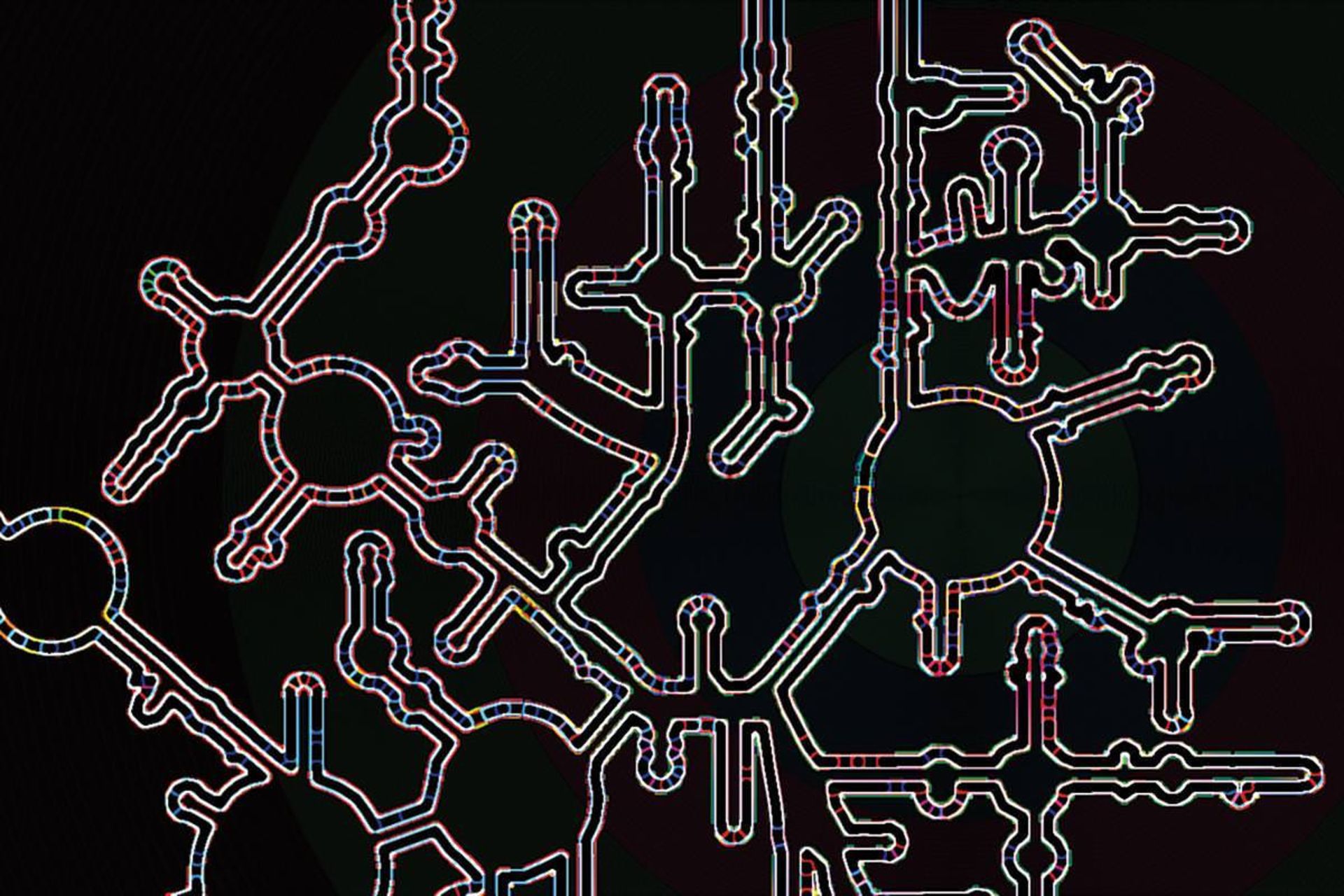 قدیمی‌ترین بخش ریبوزوم / ancient parts of the ribosome