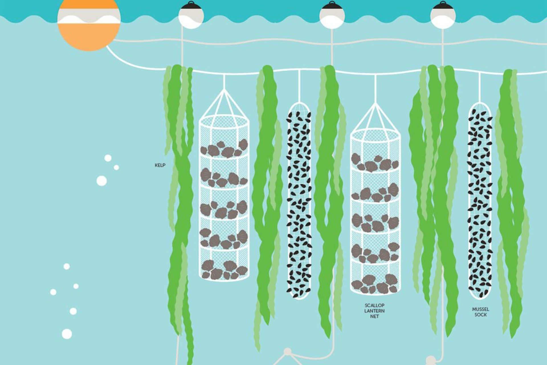 GreenWave 3D Ocean Farm