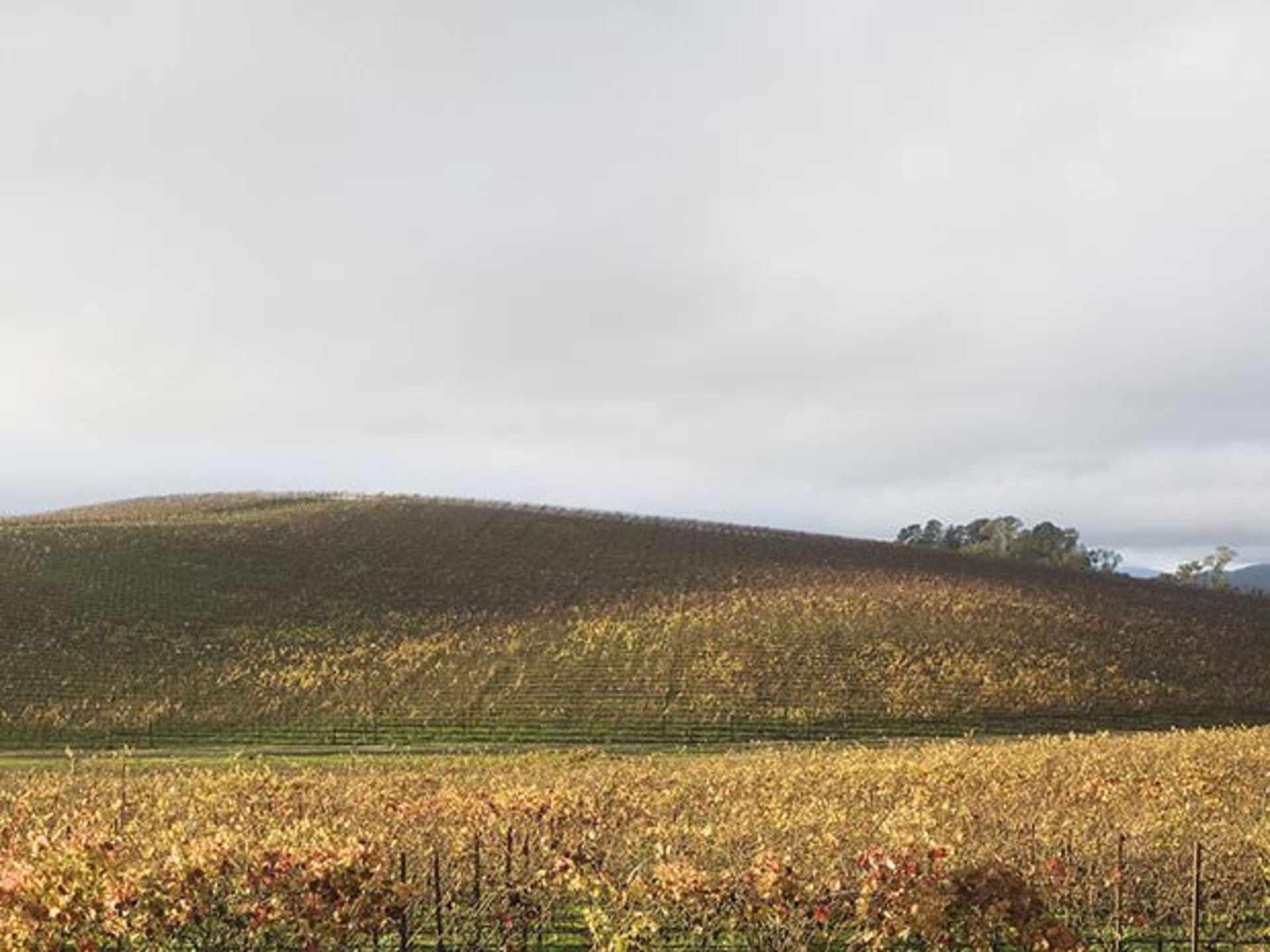 مکان پس زمینه ویندوز xp