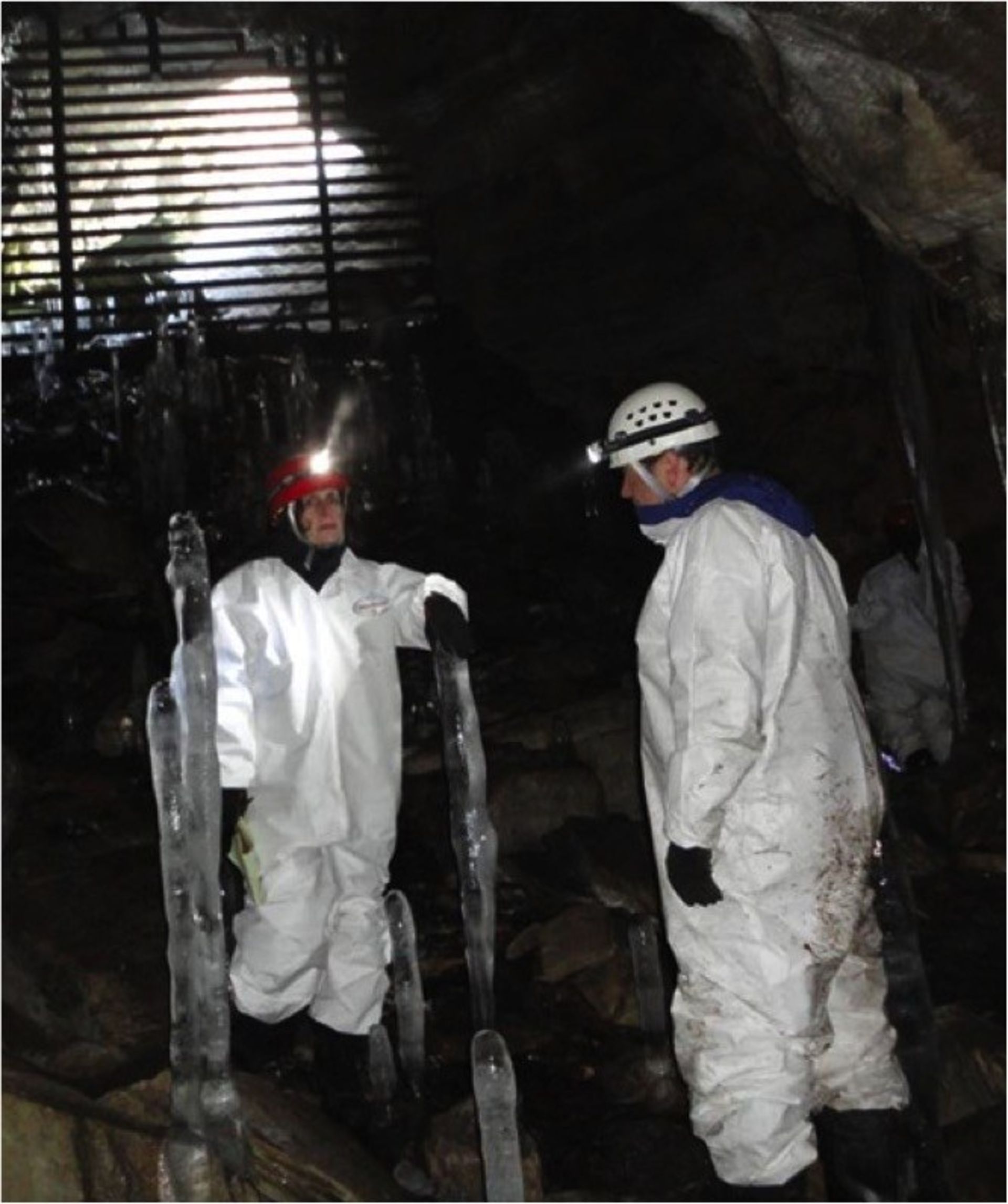 پژوهش در غار