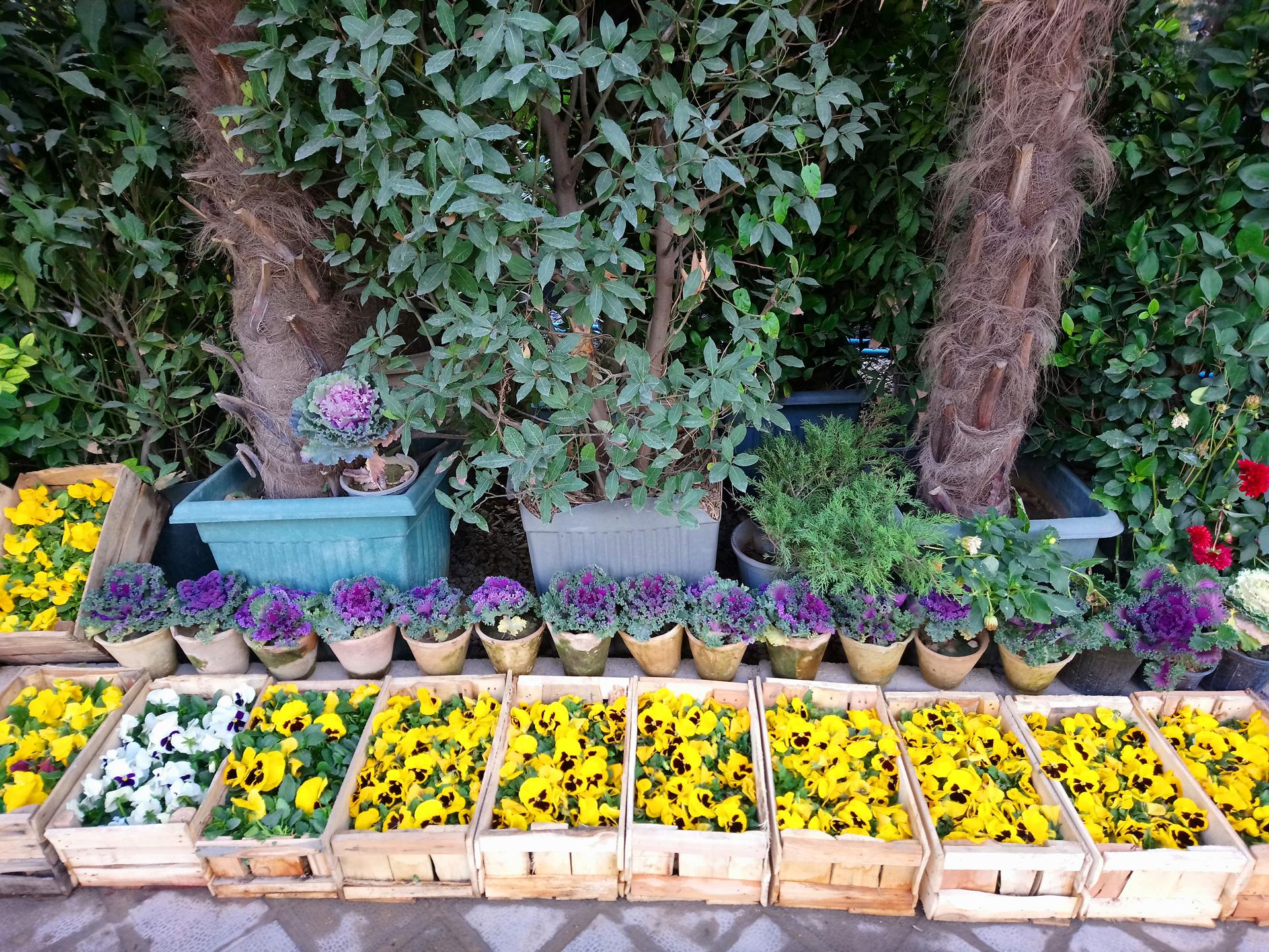 نمونه تصویر اکسپریا ایکس ای وان پلاس