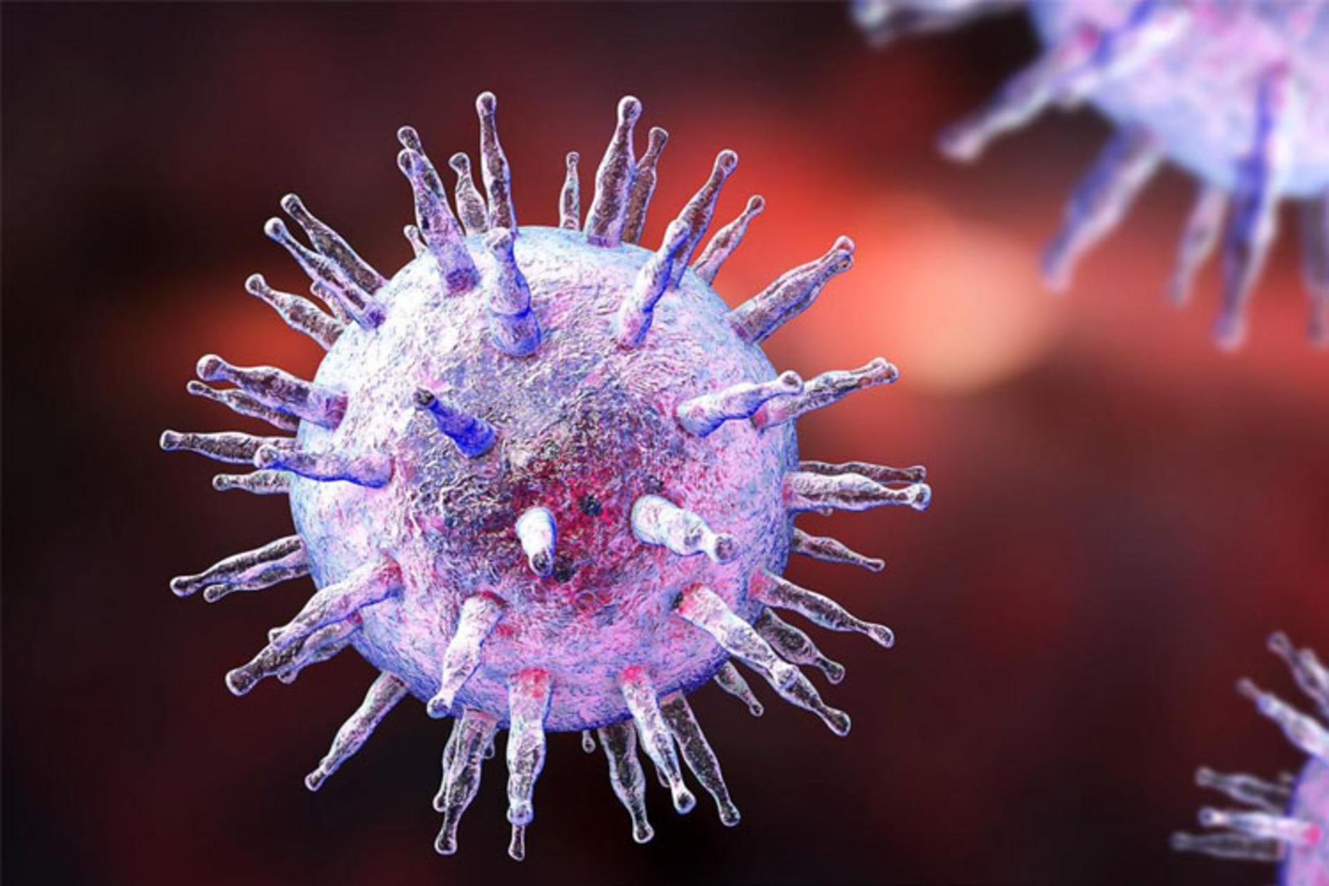 virus