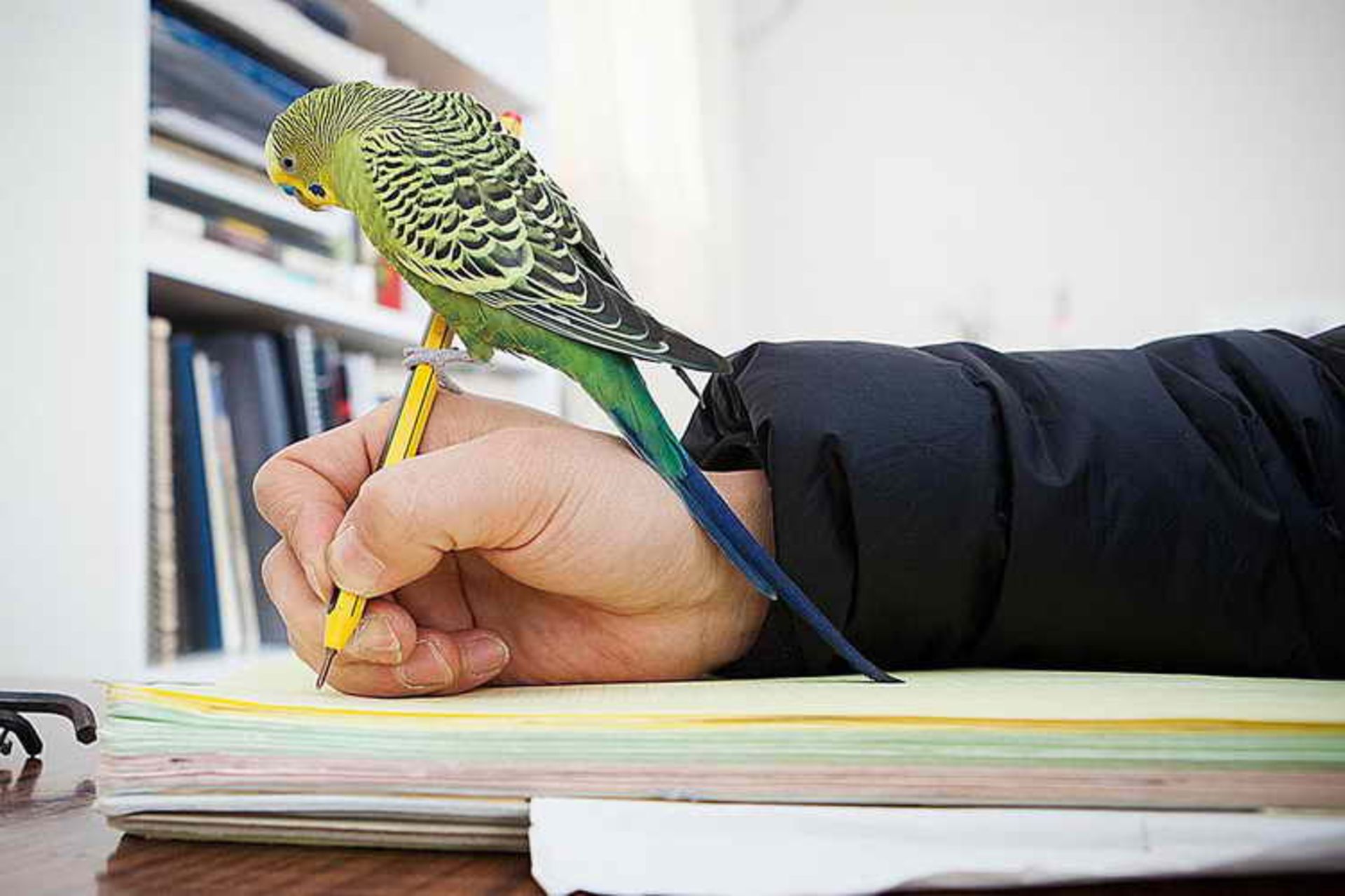 simple phrases for good communications