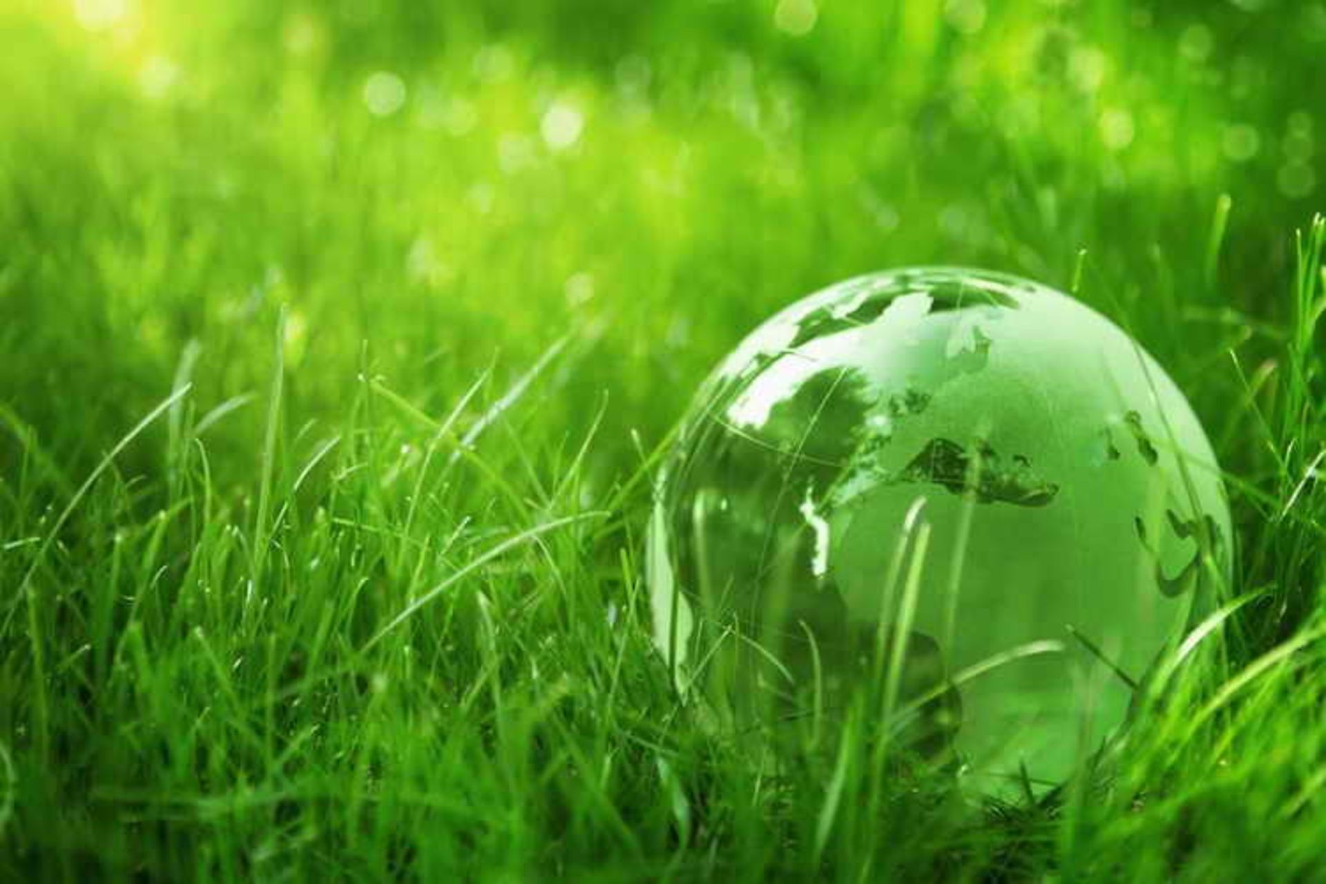  Going green