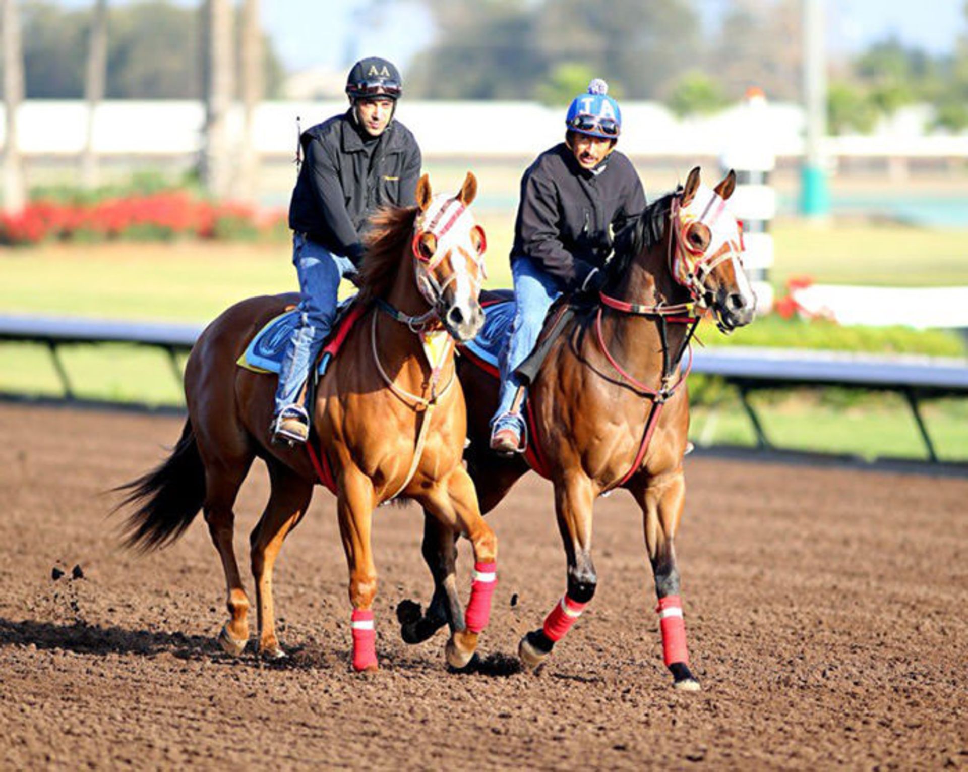 نمونه تصاویر گرفته شده با لنز کانن 200mm f1.8