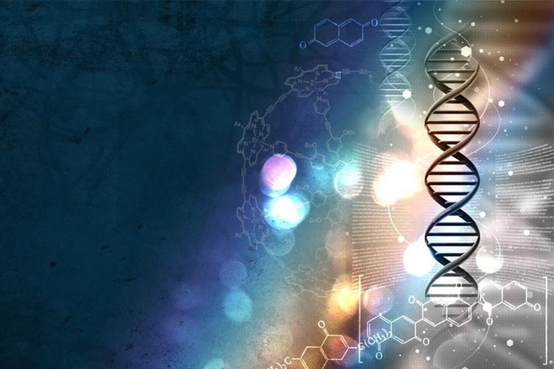 dna cell