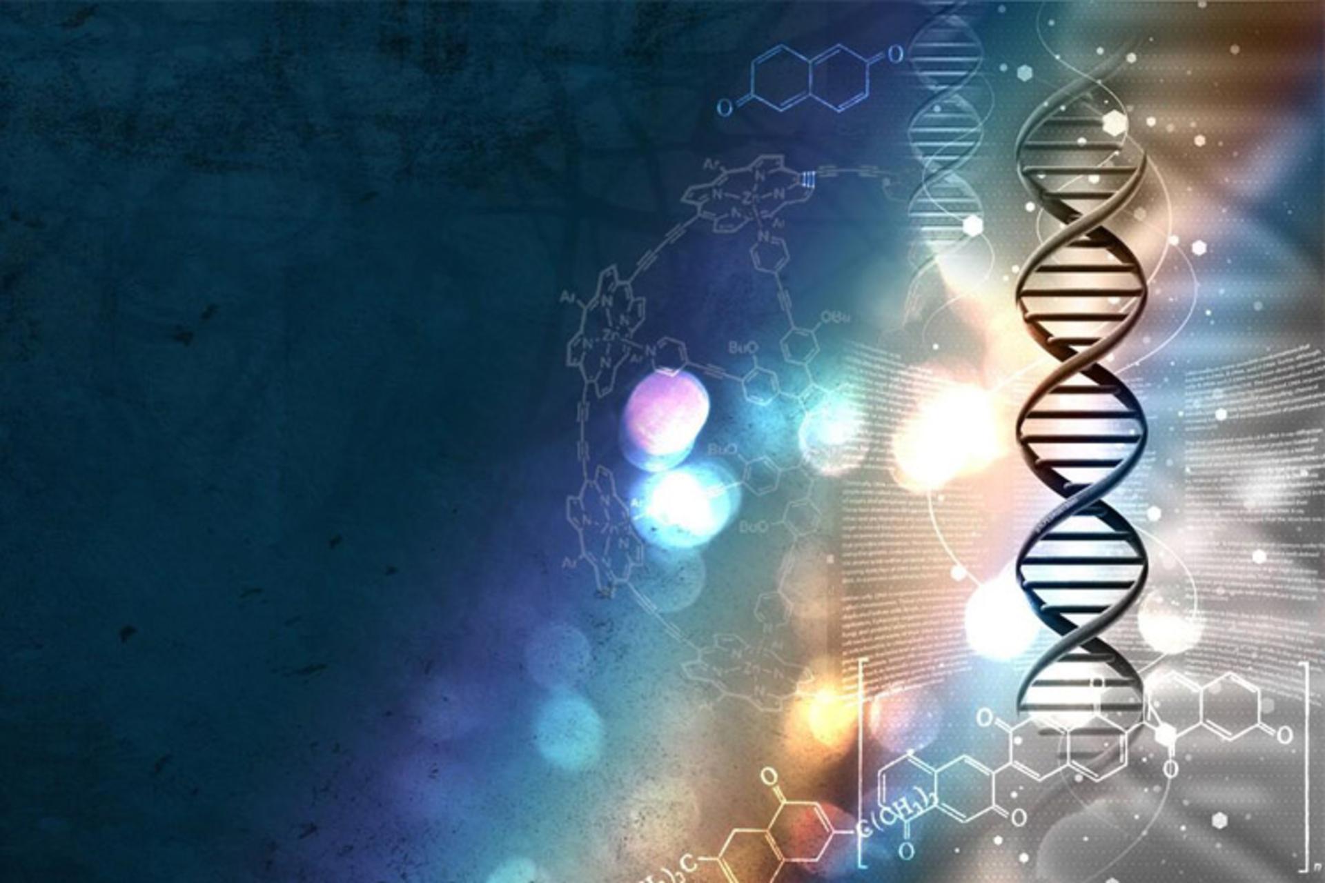 dna cell